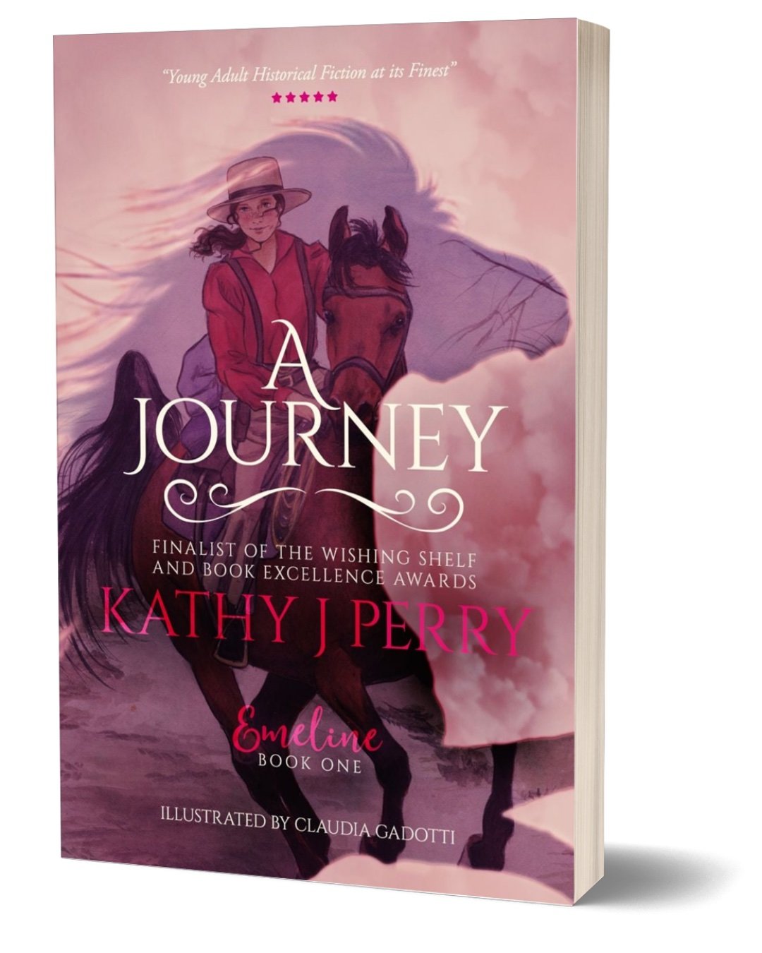 A Journey - paperback 3D.jpg