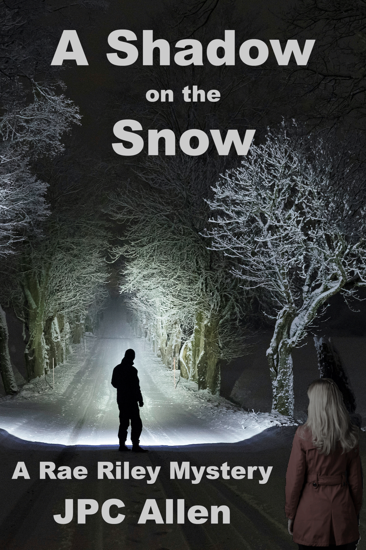 A-Shadow-on-the-Snow-lg-copy.jpg.webp