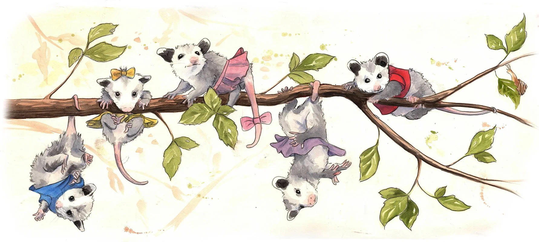 opossum 2.jpg