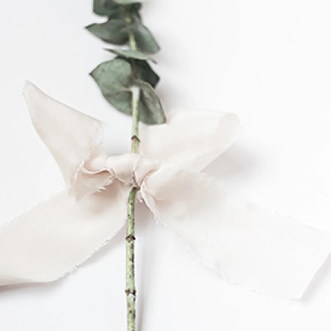 ribbon sage.jpg