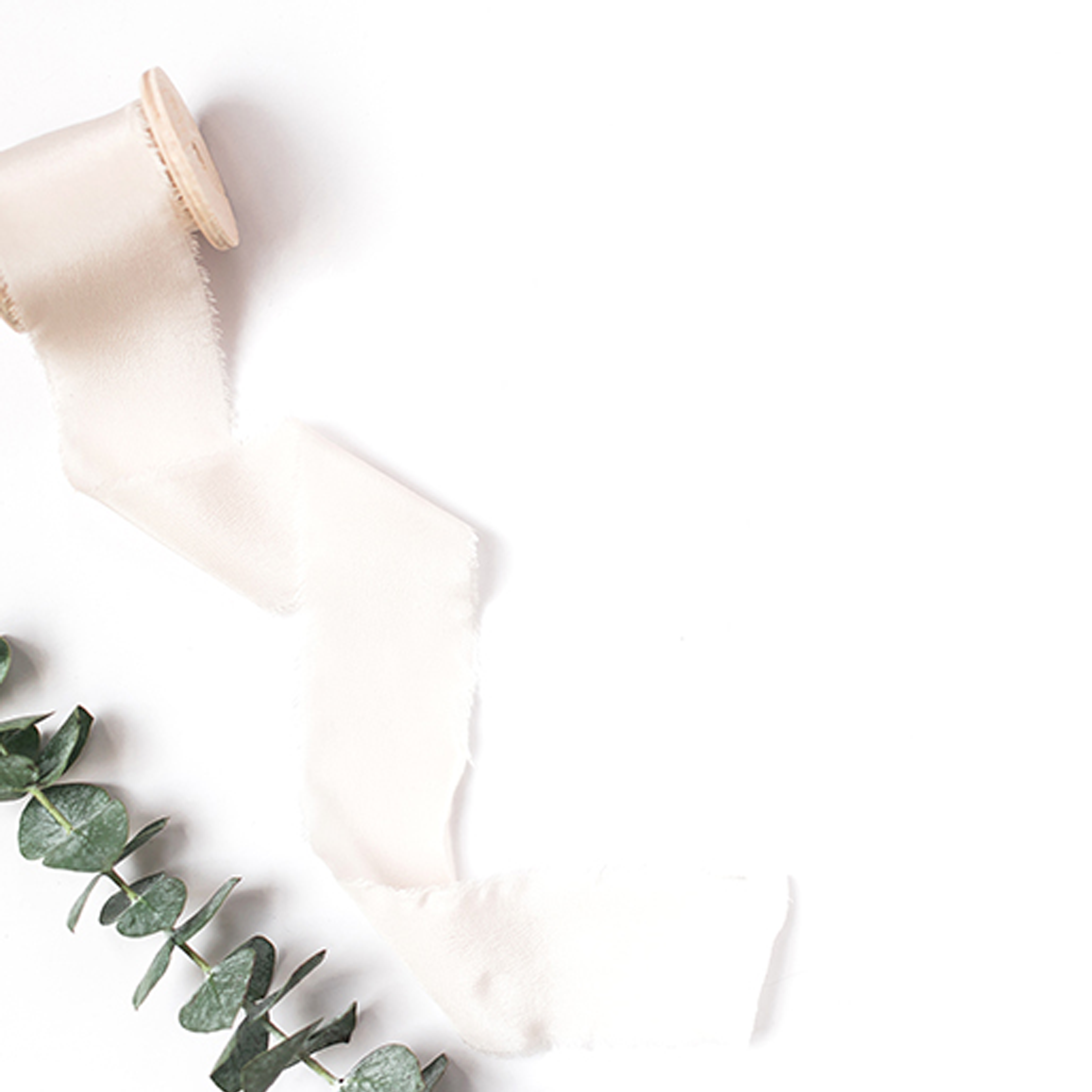 sage ribbon.png