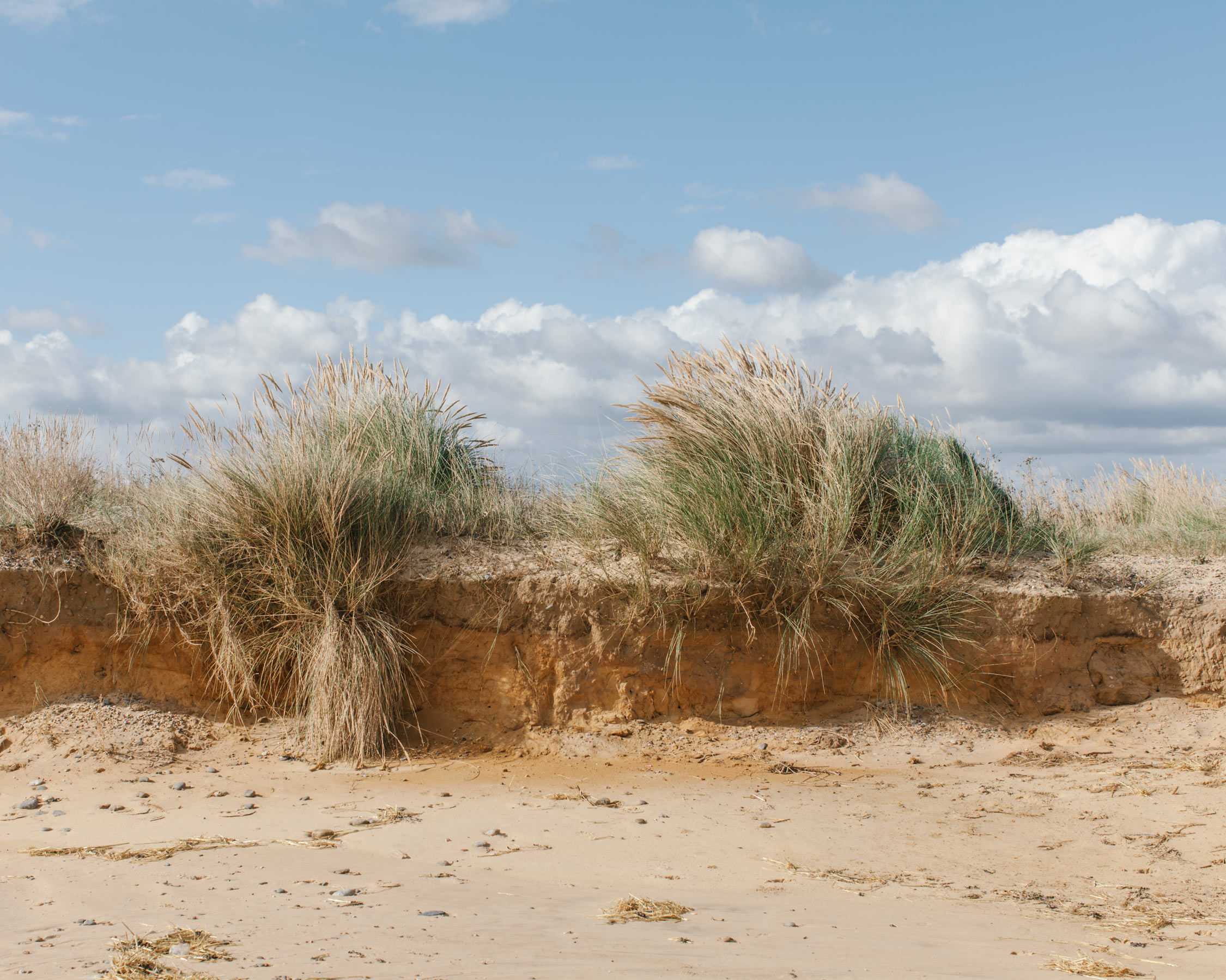 A mere 450,000 years ago the land groaned under an ice sheet perhaps half a mile thick. Each period has left a temporary legacy in the rocks of Suffolk: a wealth of sands, gravels, silts, clays and limestones.