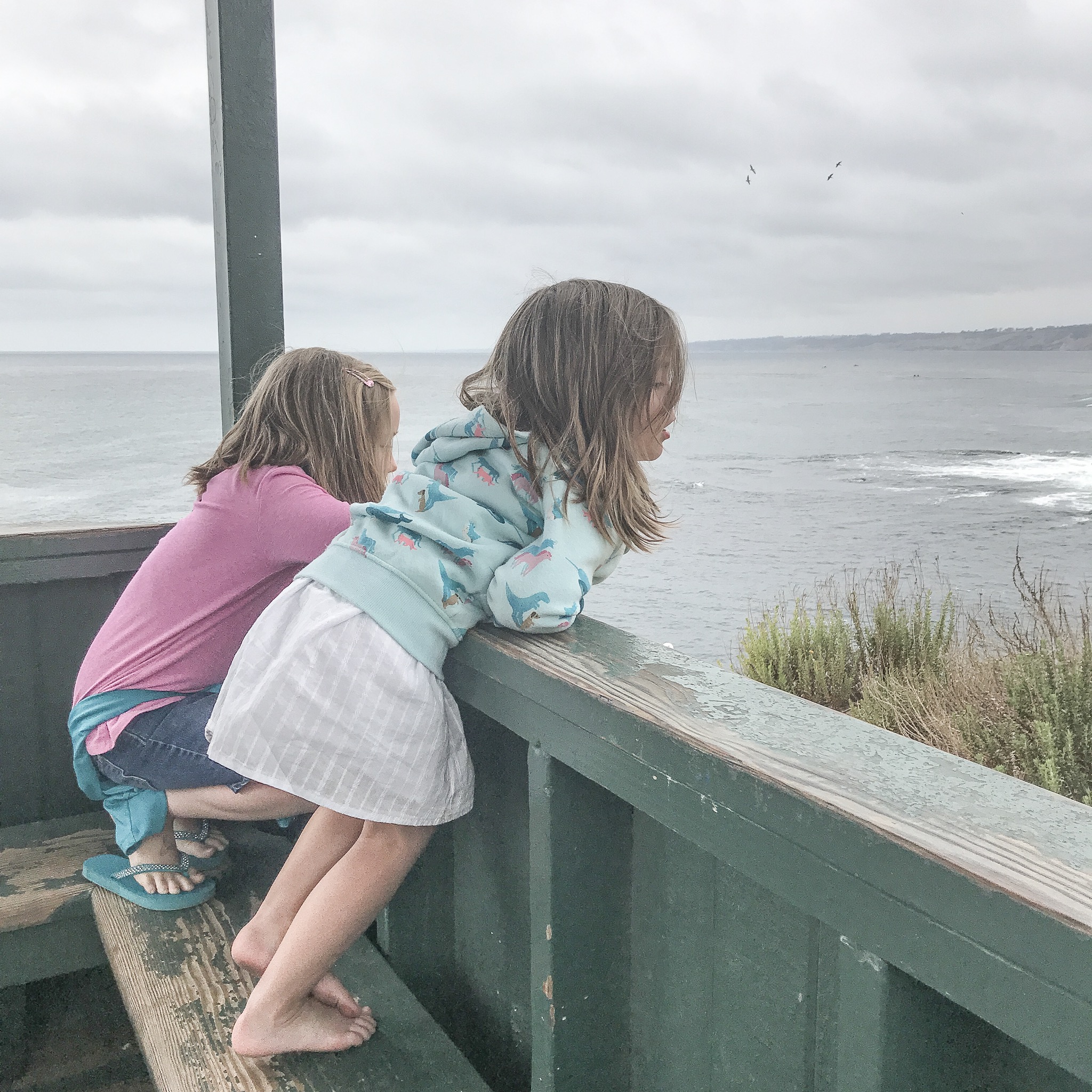 Checking out the wildlife at Seal Beach in La Jolla.