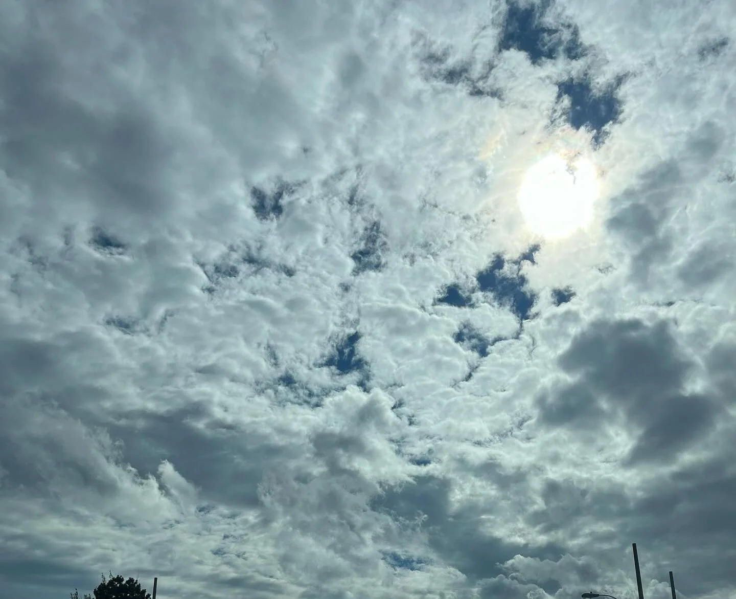 Summer solstice // when the light lasts the longest, and signals a moment of transition. Where we can reflect on the past 6 months and renew our visions for the second half of the year. 

Sit with the elements today. Bathe in the sun and cleanse in t