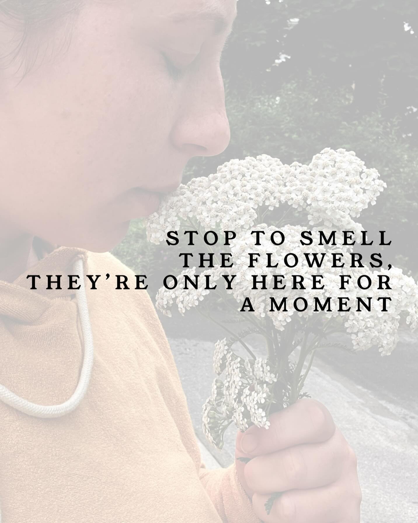 Beautiful moments exist all around. Don&rsquo;t let your busy life or your to do list get in the way of stopping to take time for joy. Summer blooms won&rsquo;t wait; your laundry will 🌼