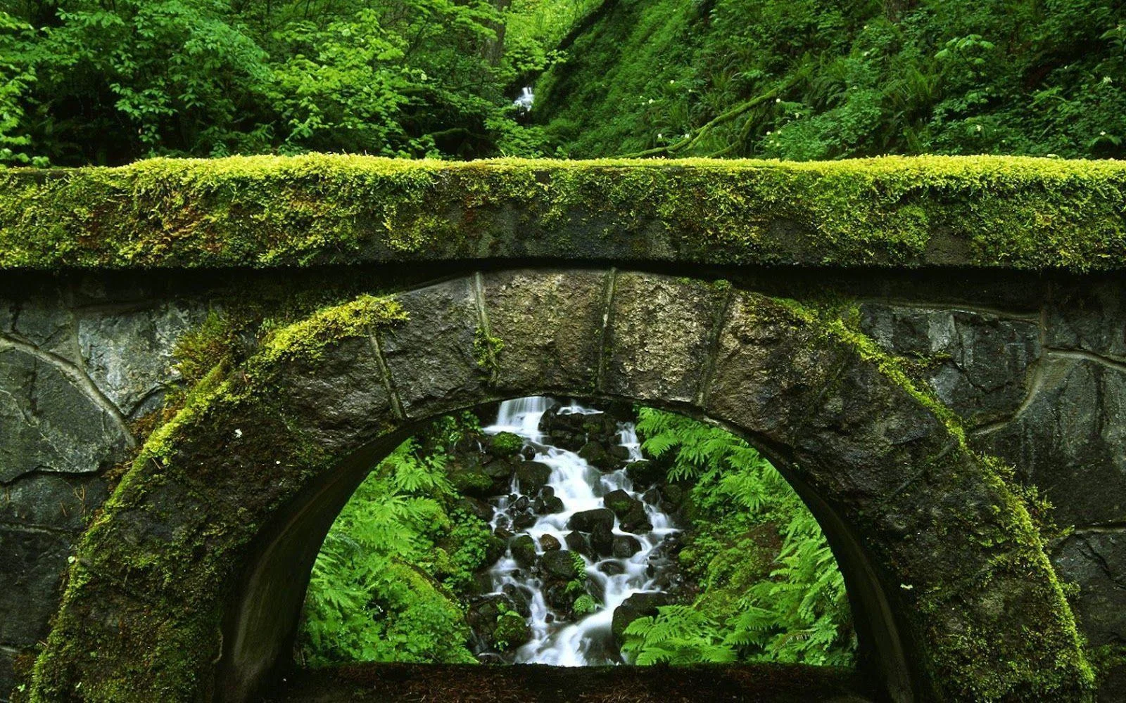 mossy-bridge-view.jpg