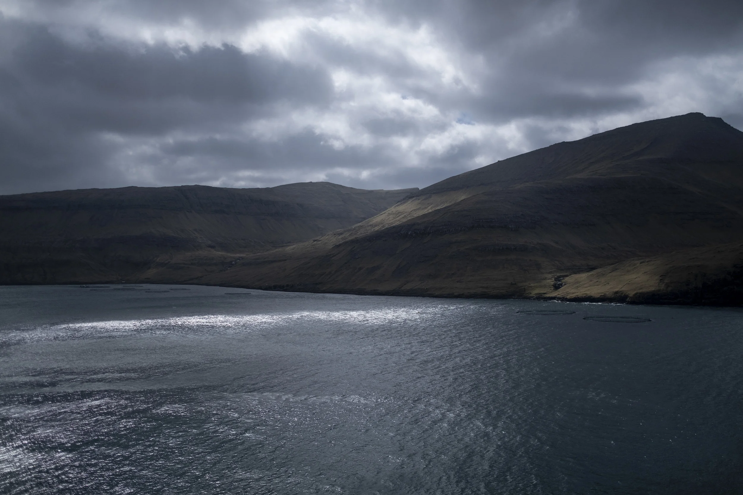 DSCF6825.jpg