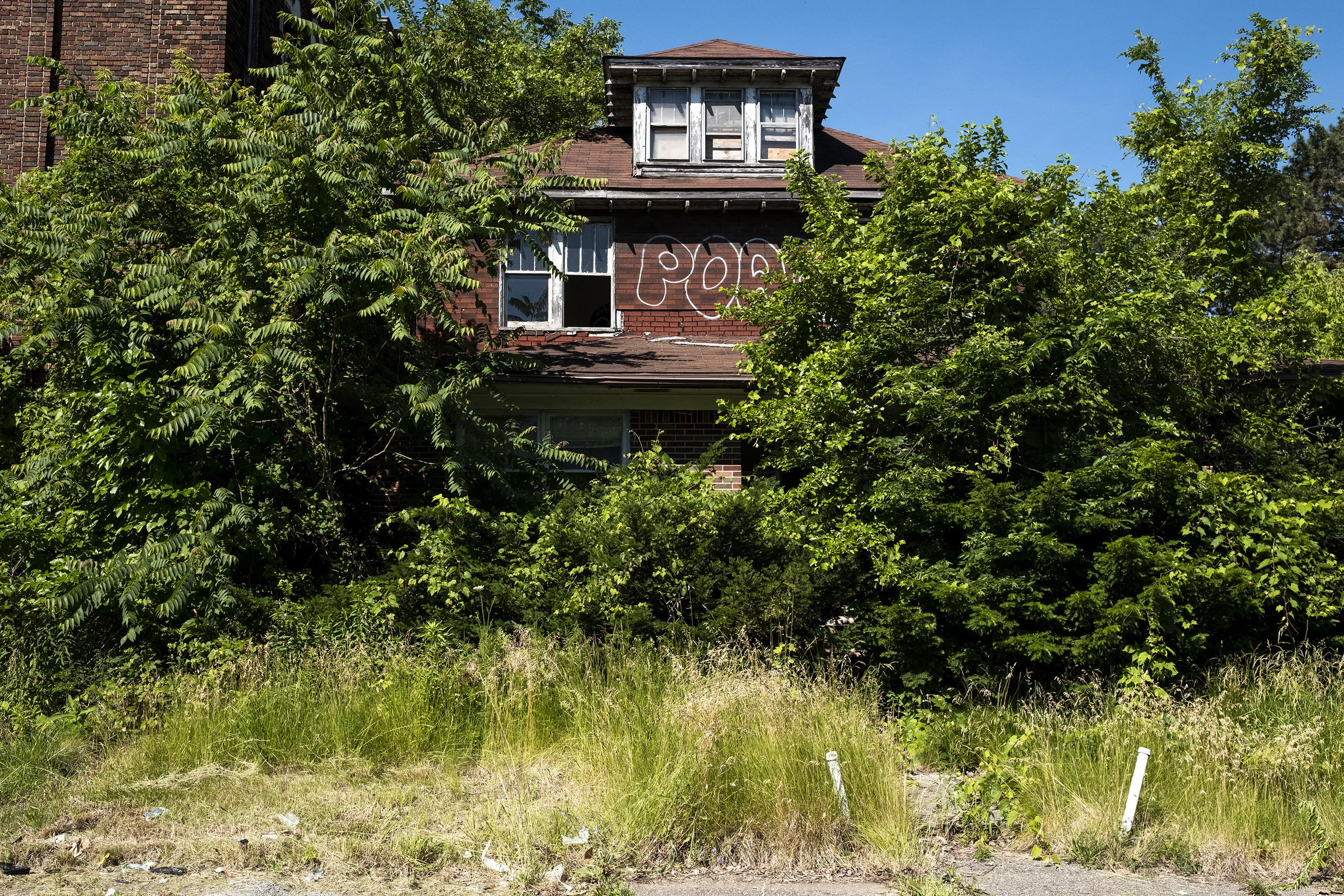 DSCF8126.jpg