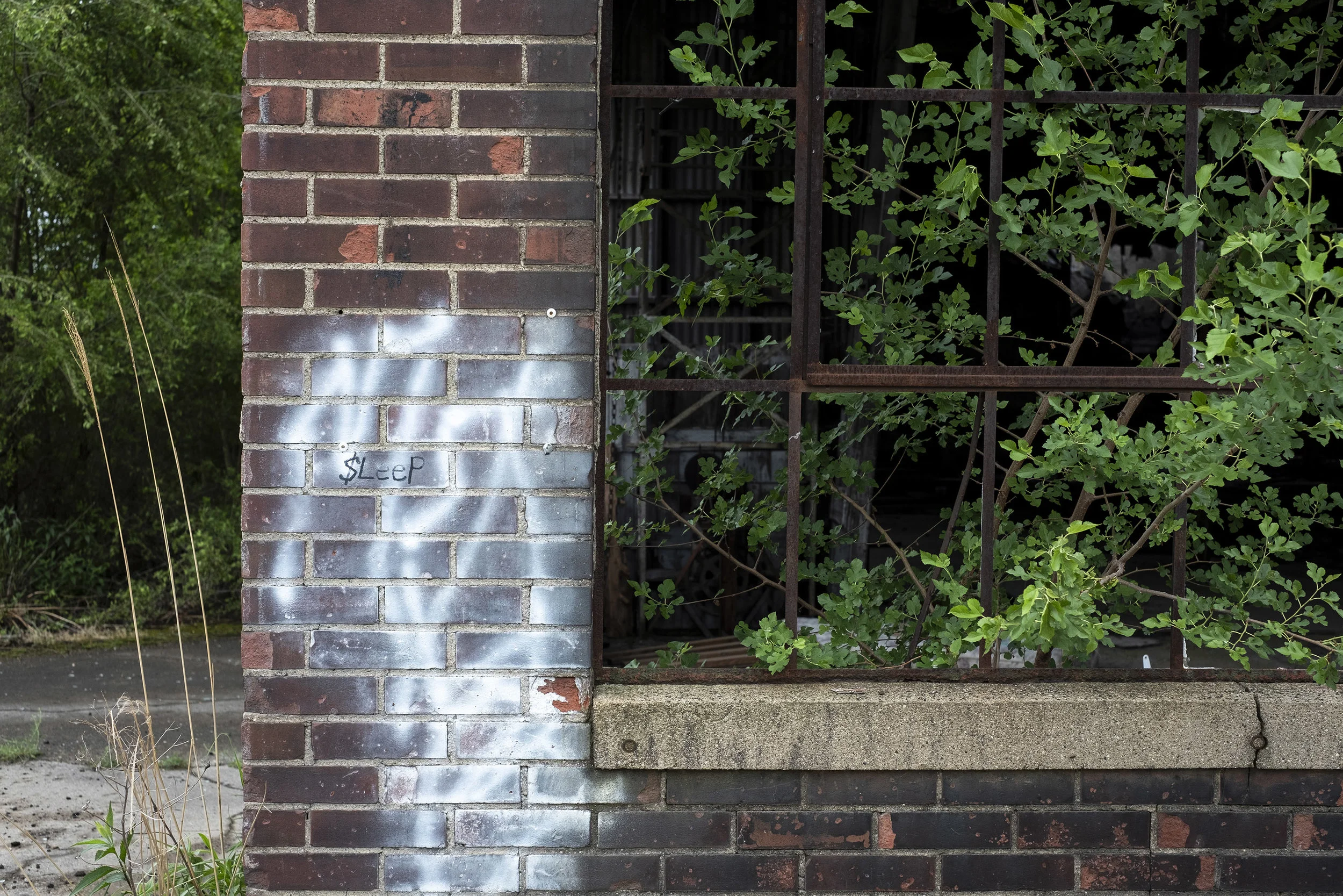 DSCF7770.jpg