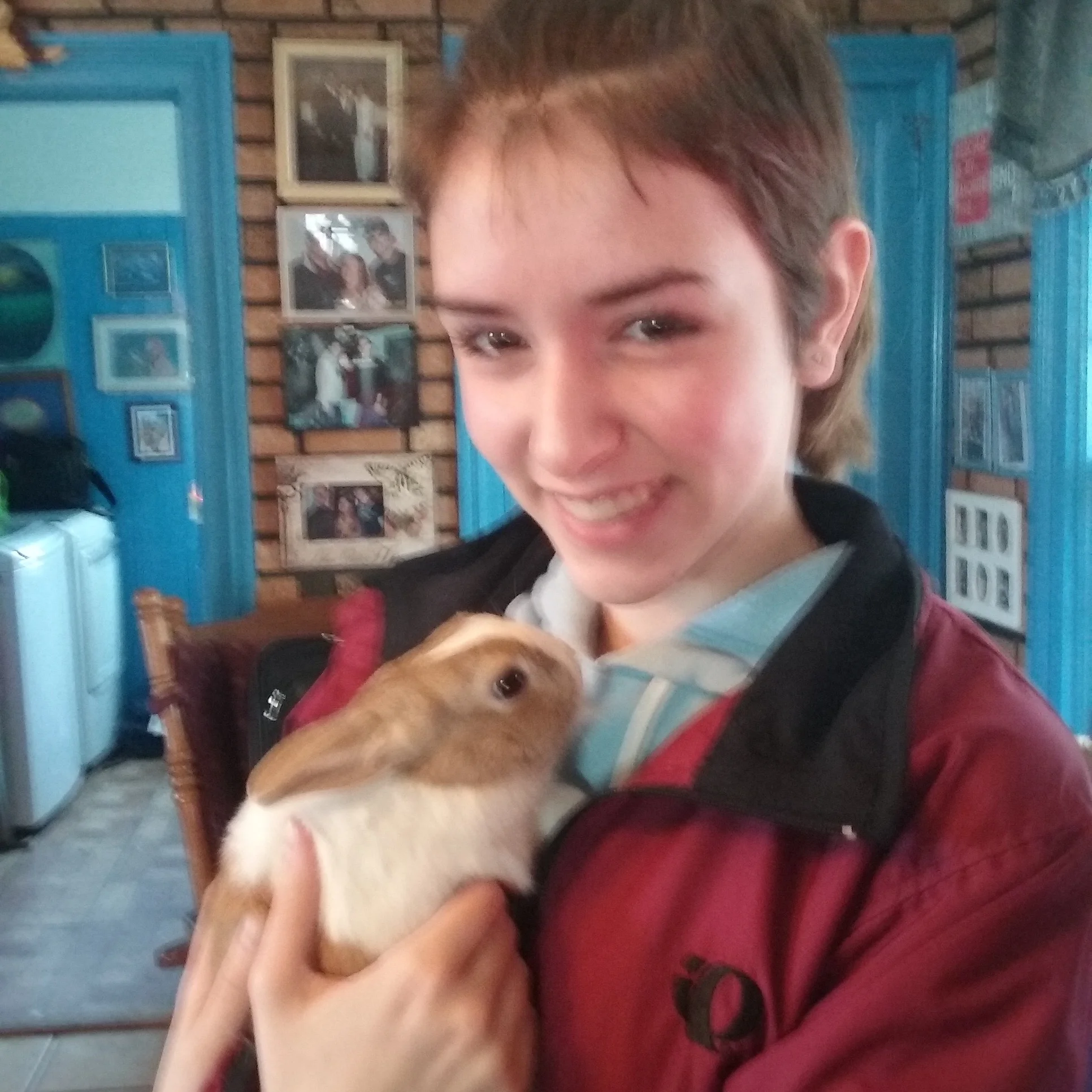 Babs adopter