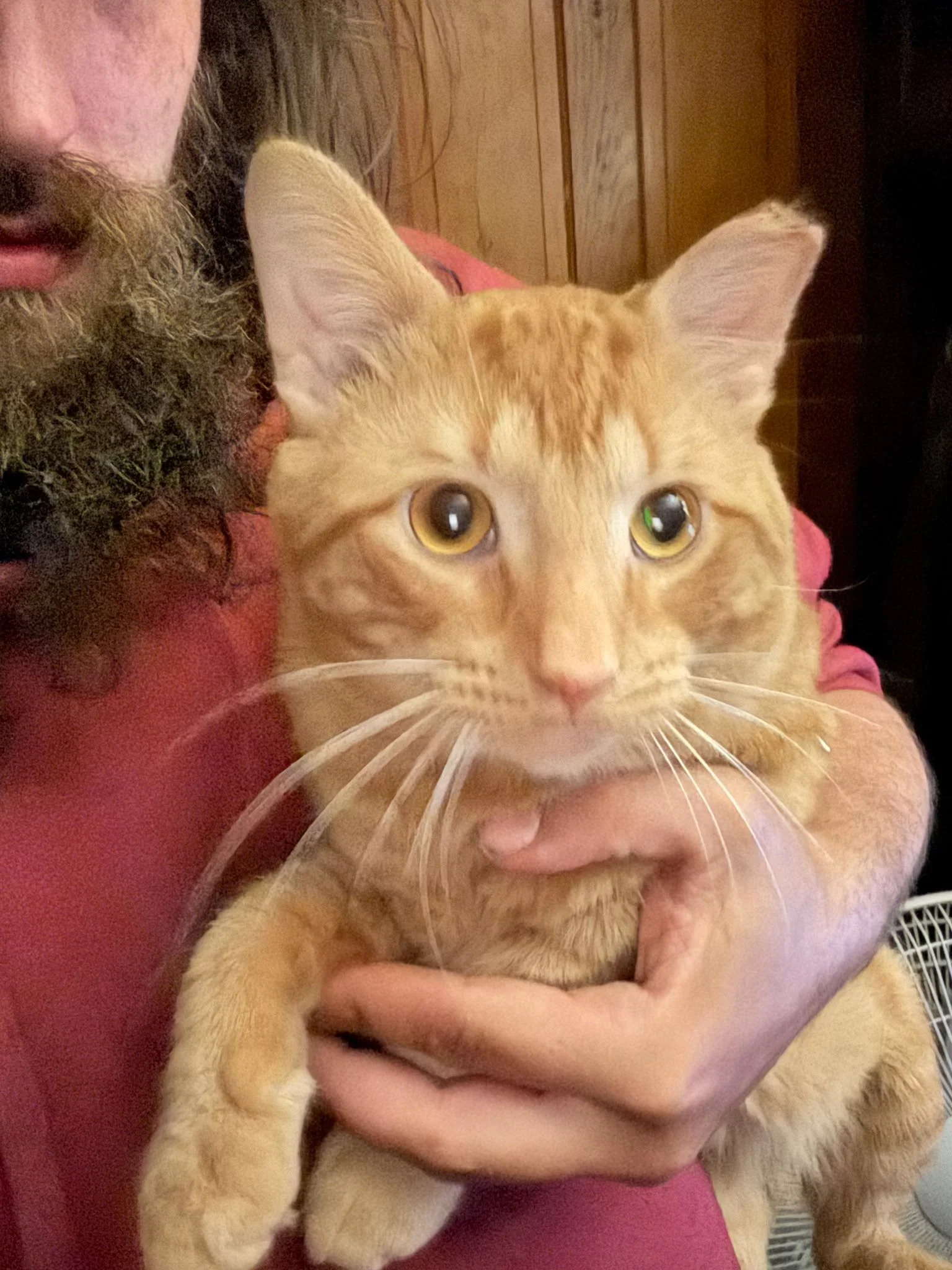 Sheldon M /n 2 yrs