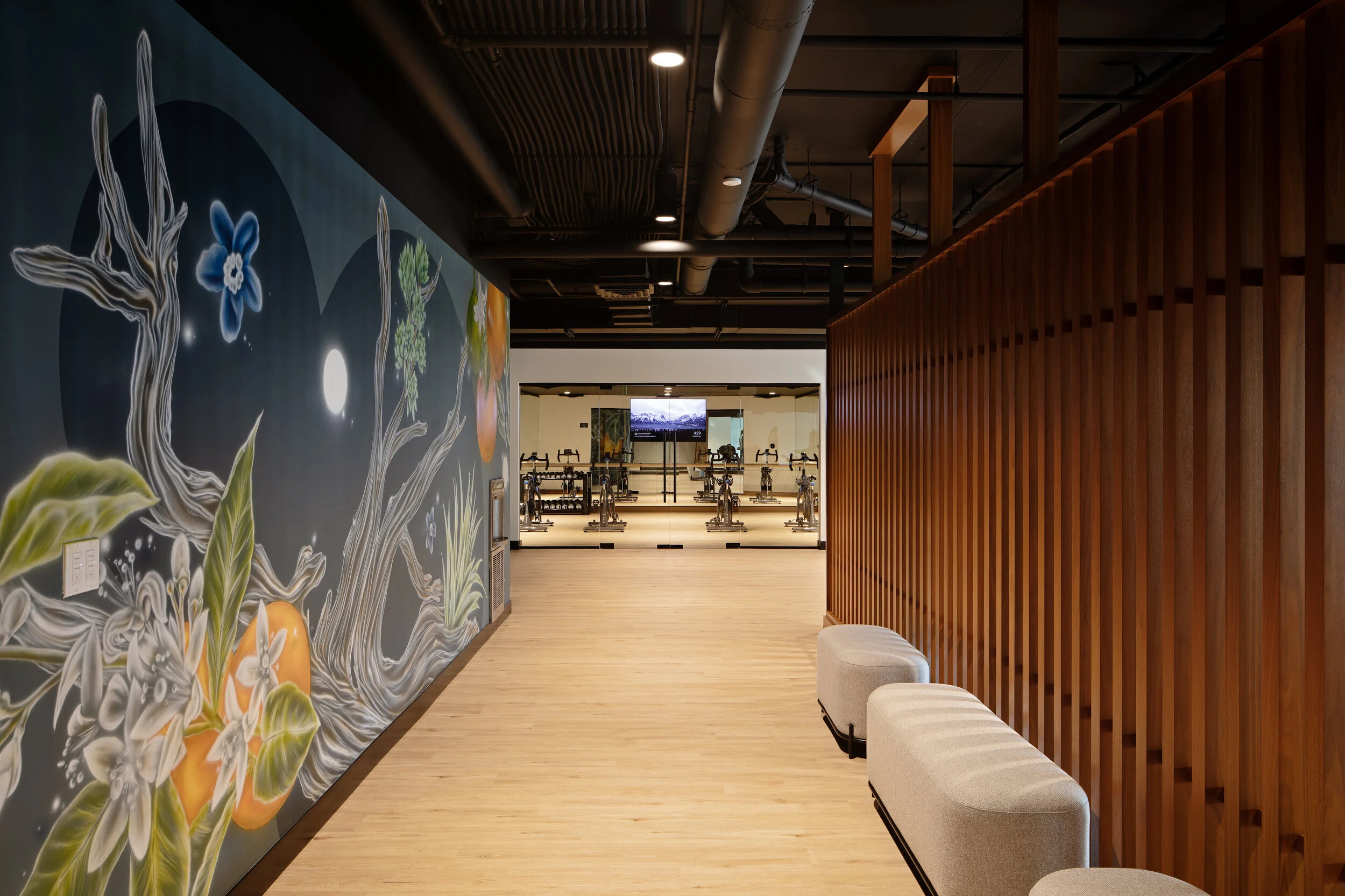 ster Eleven — Vida Design