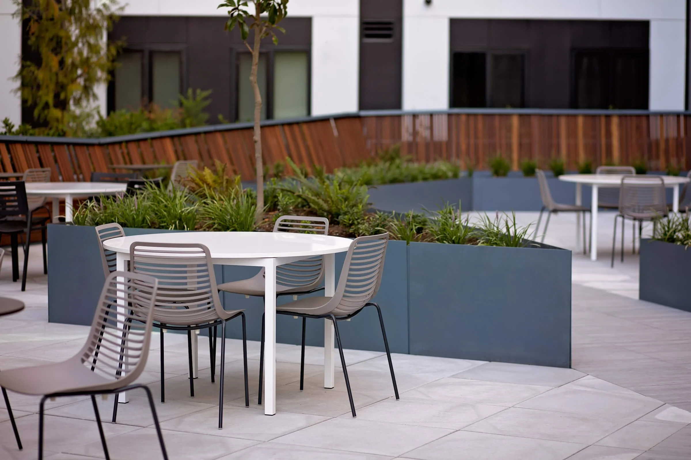 upland — Vida Design