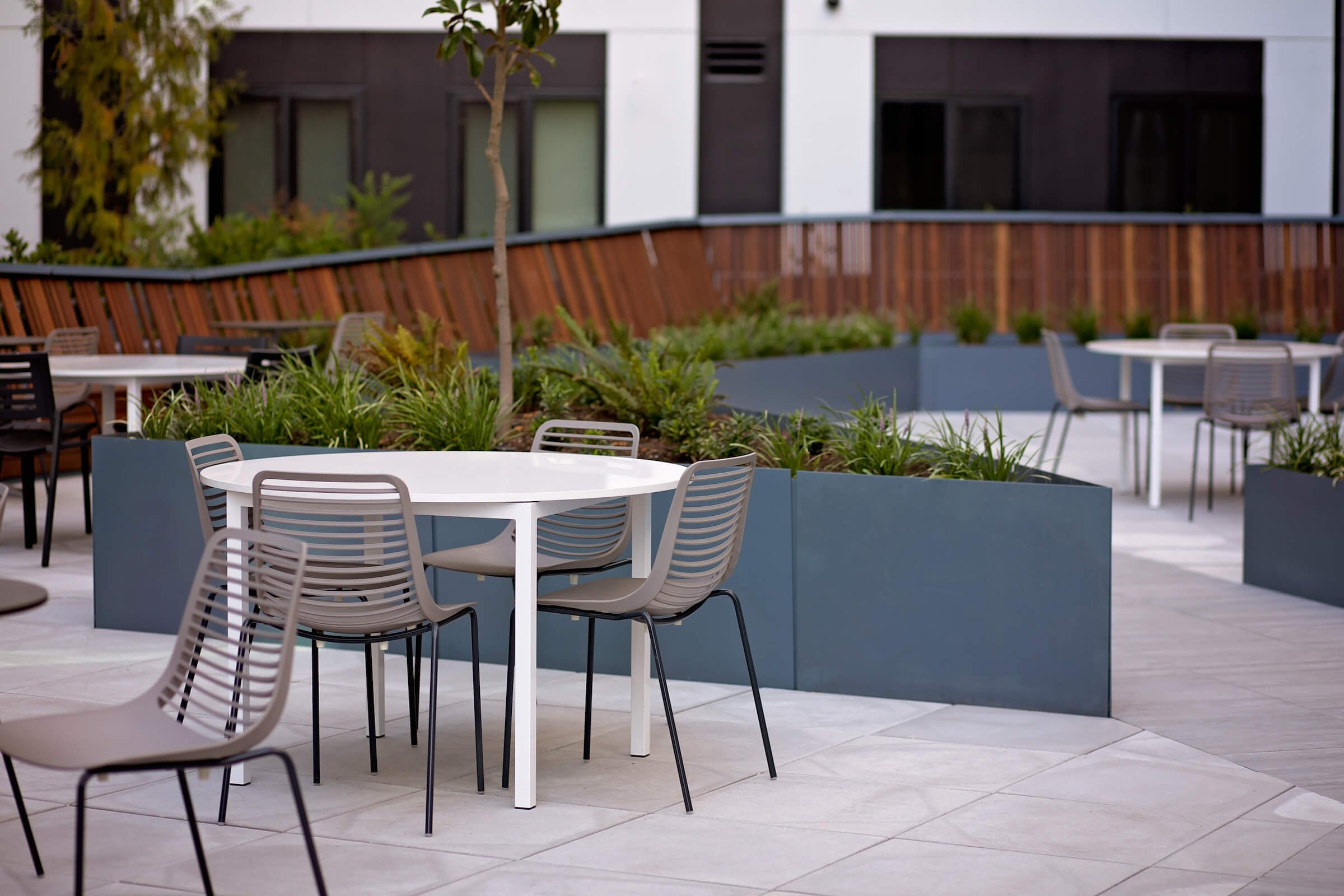upland — Vida Design