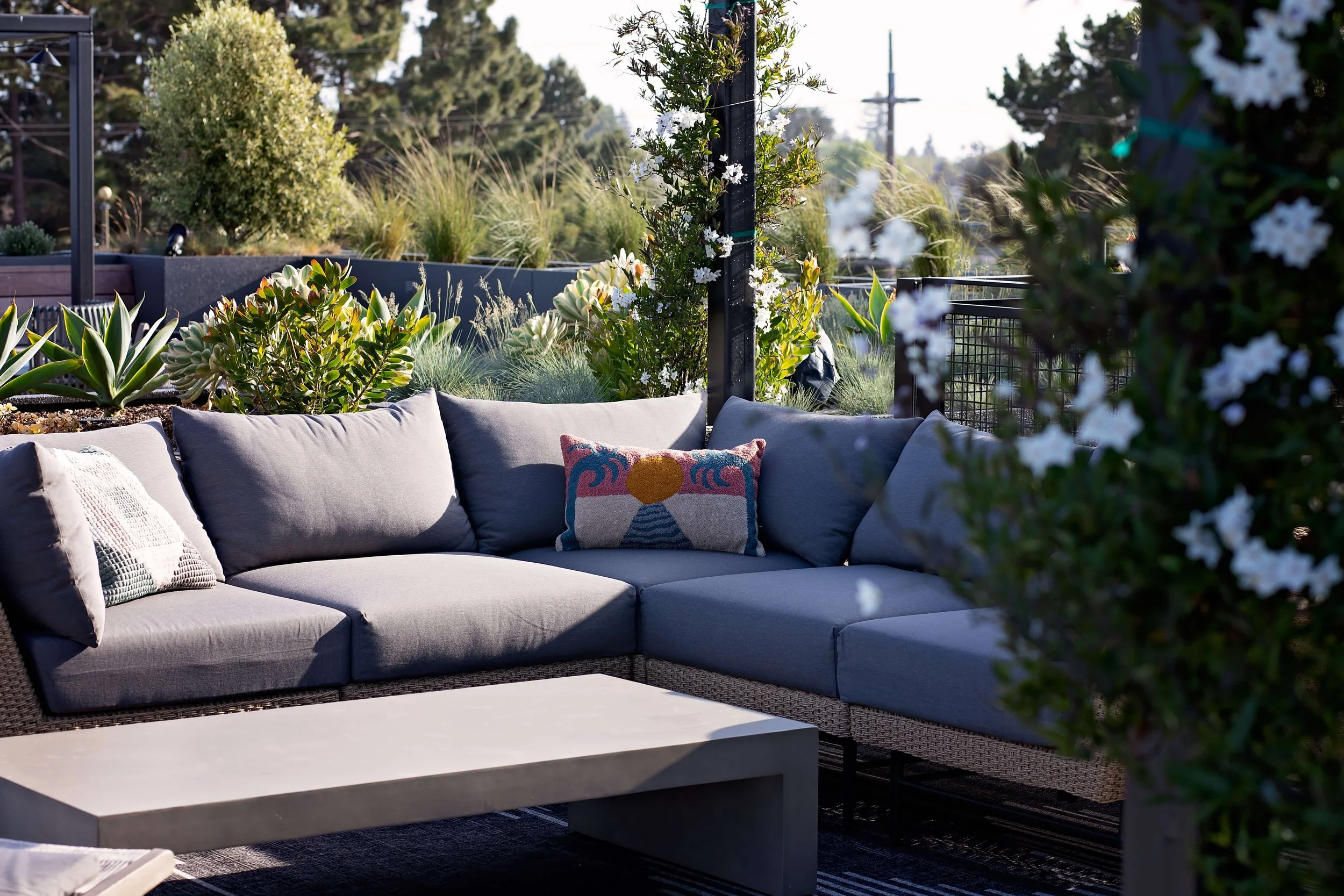 Alta Star Harbor — Vida Design
