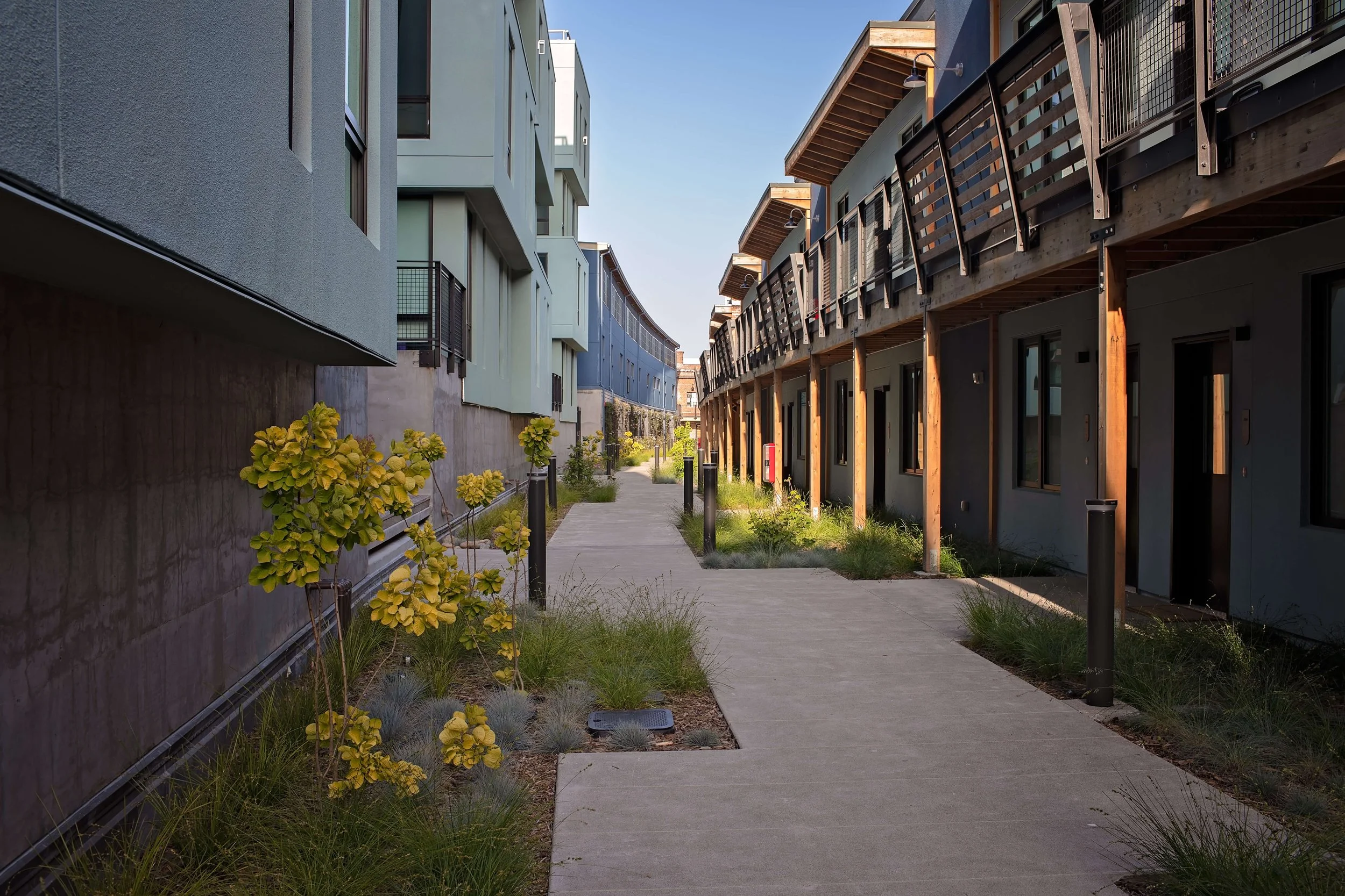 Alta Star Harbor — Vida Design