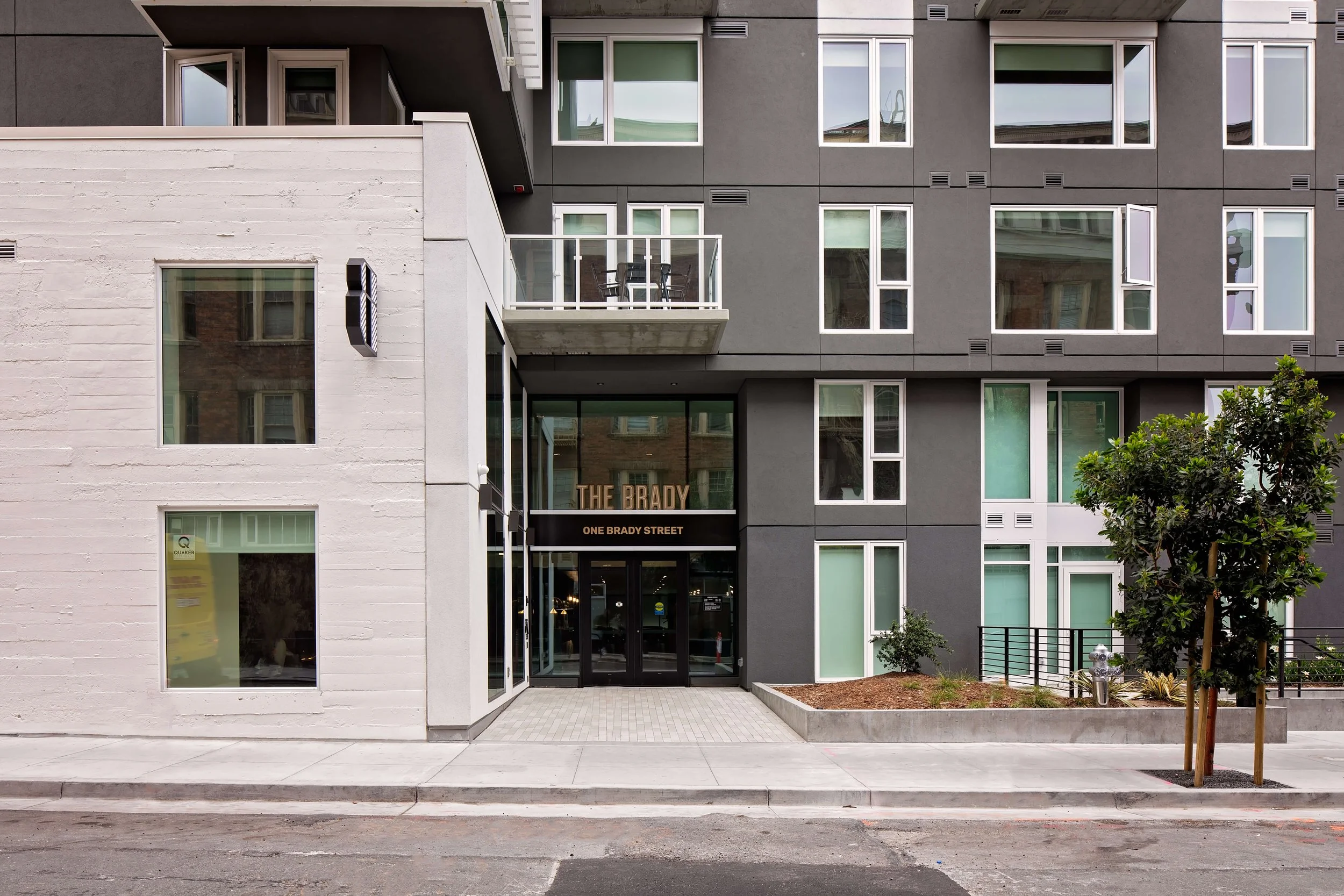 The Brady — Vida Design