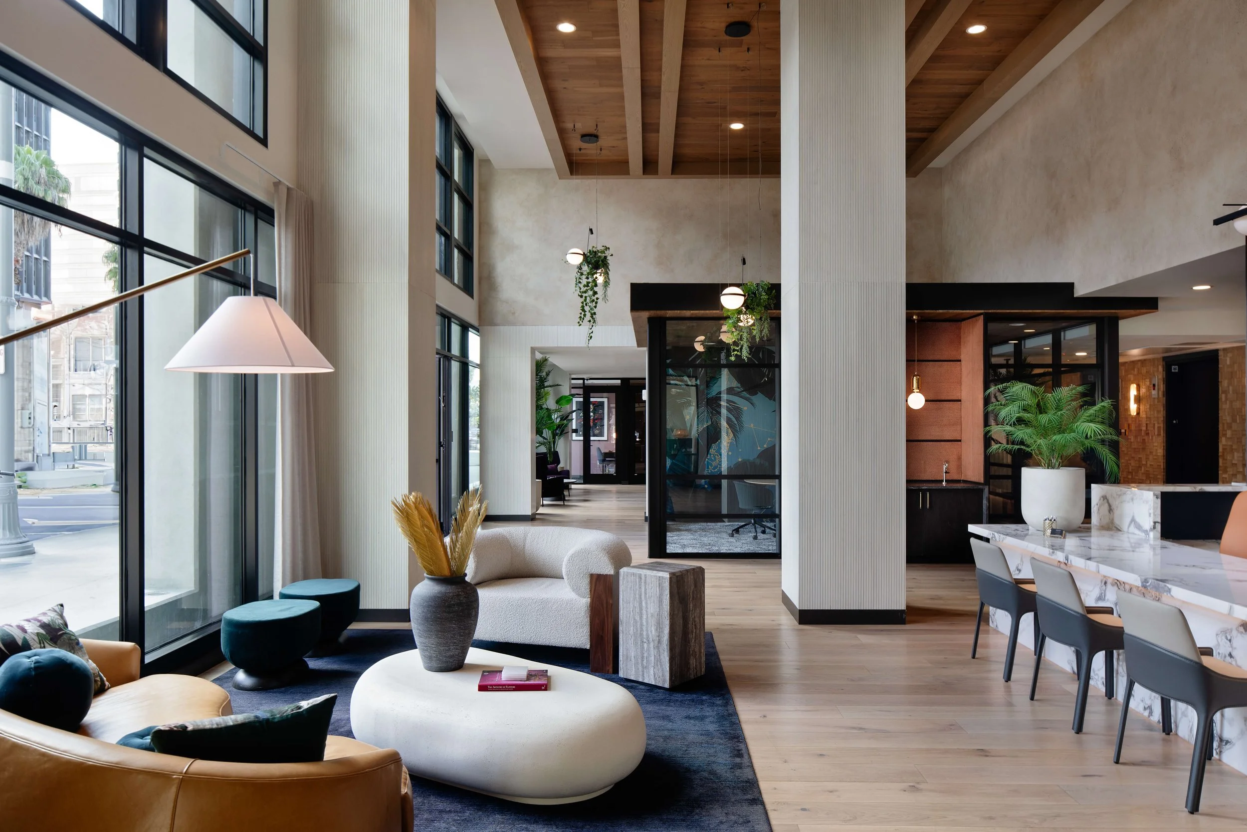 Aster — Vida Design