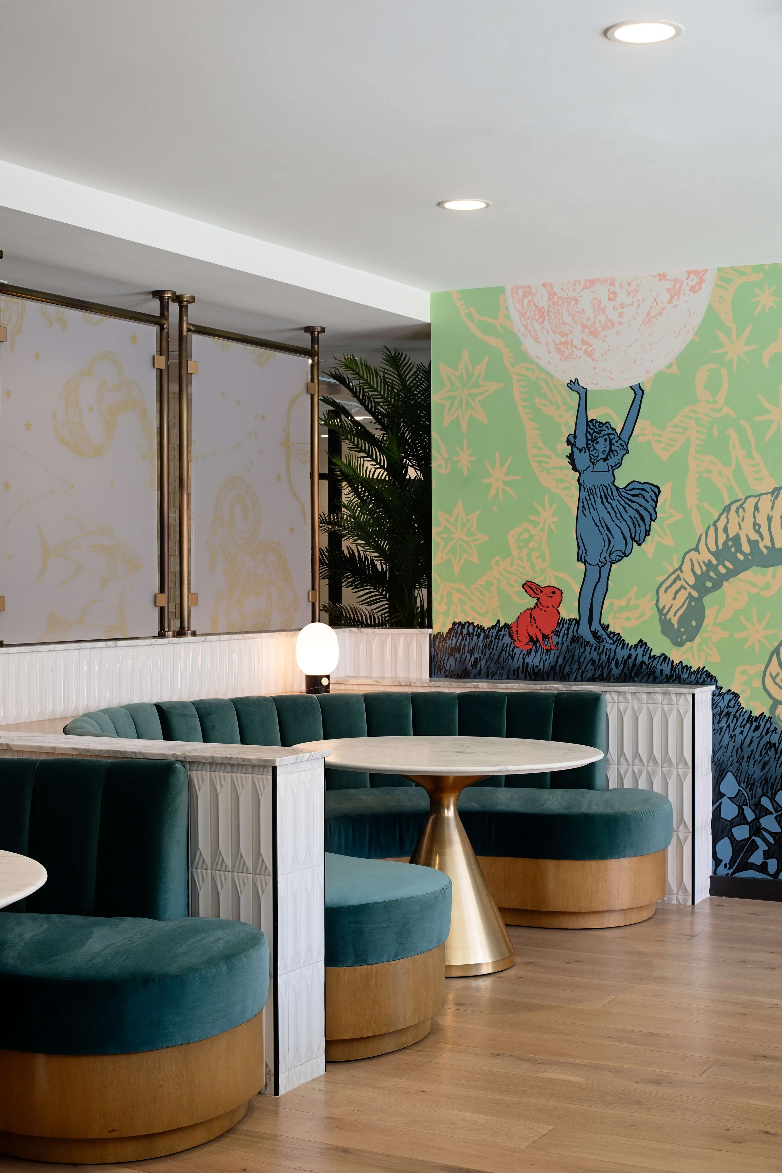 Aster — Vida Design