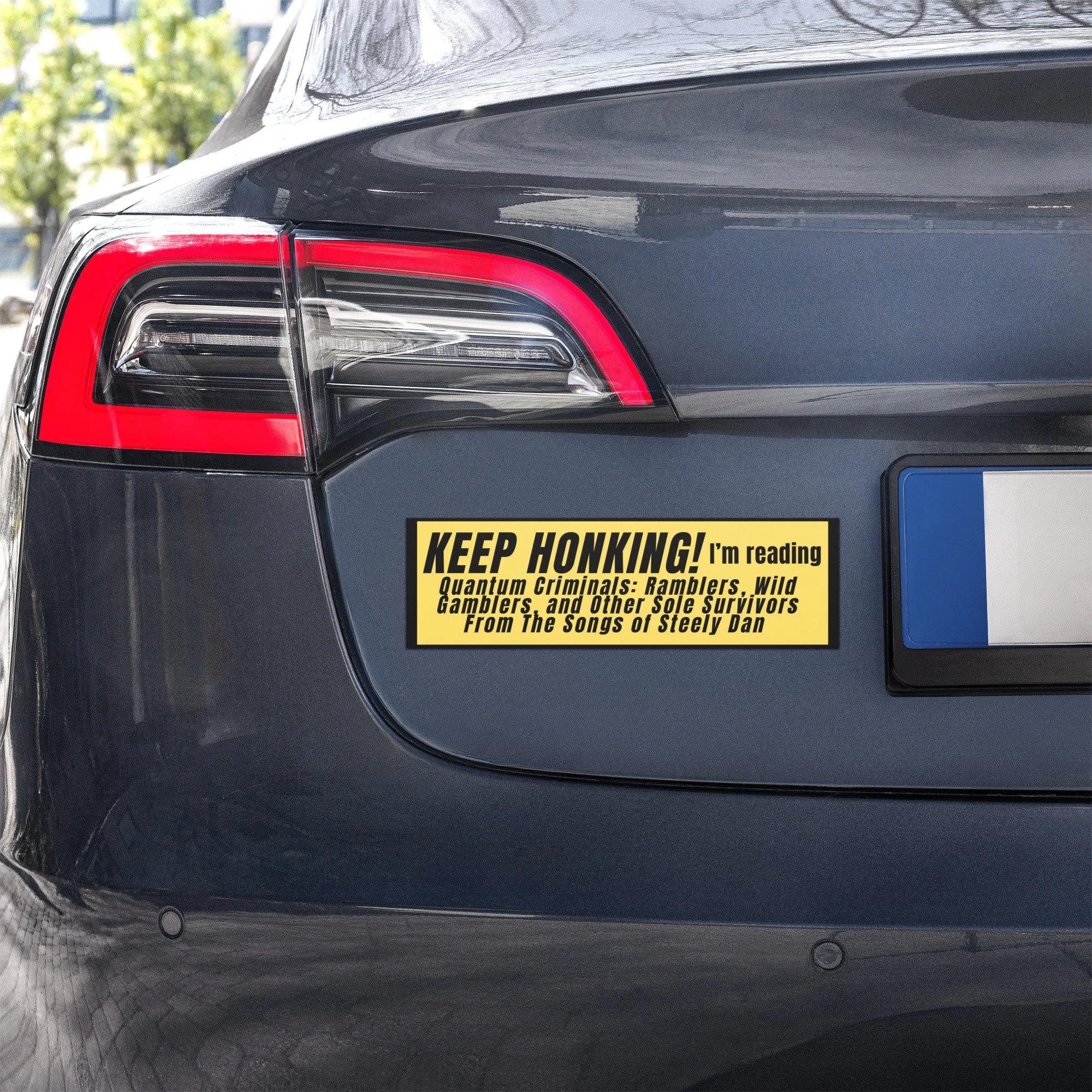 car-magnets-white-10x3-front-6a657b96c166e.jpg