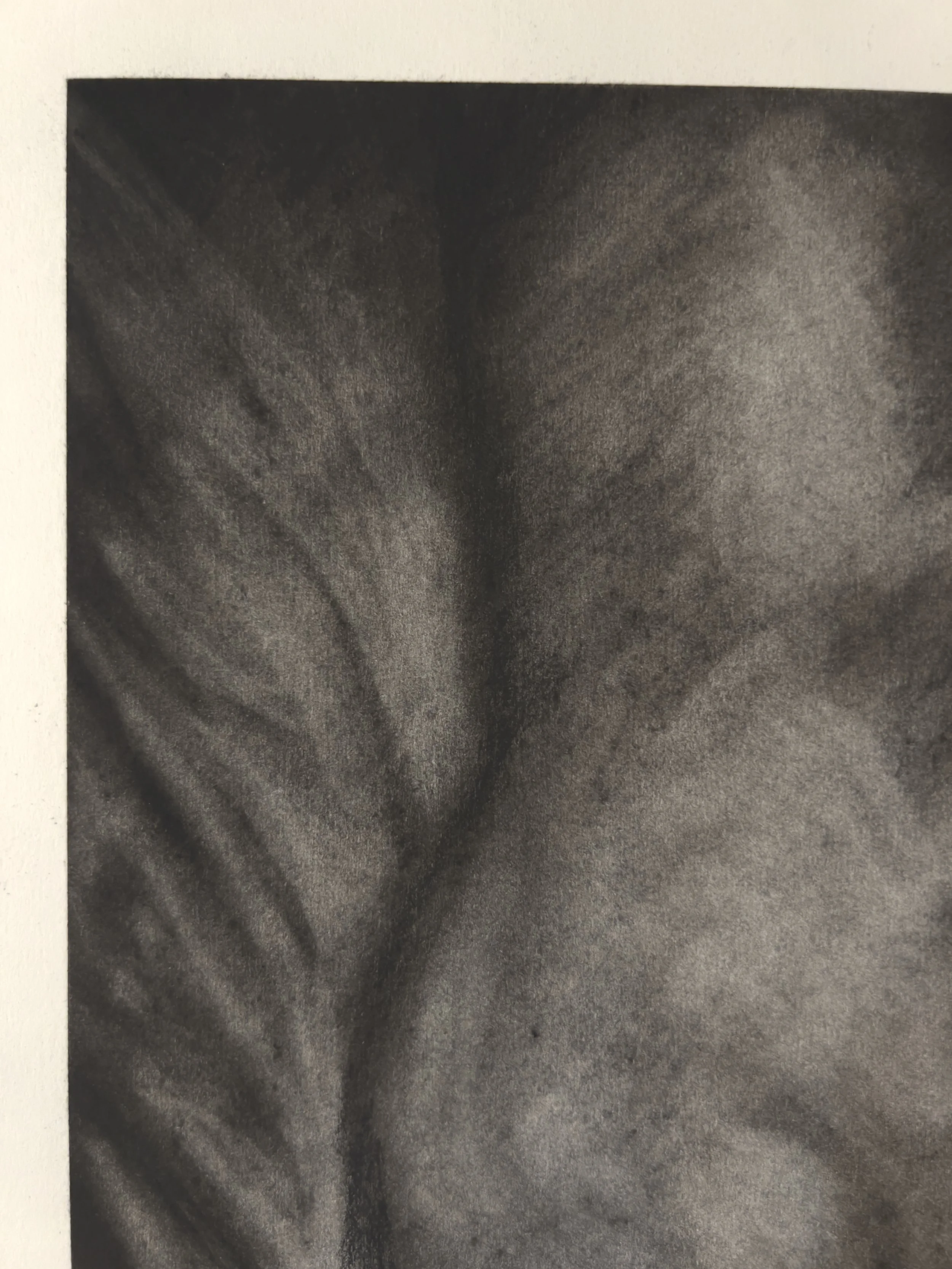 converted images_28.jpg