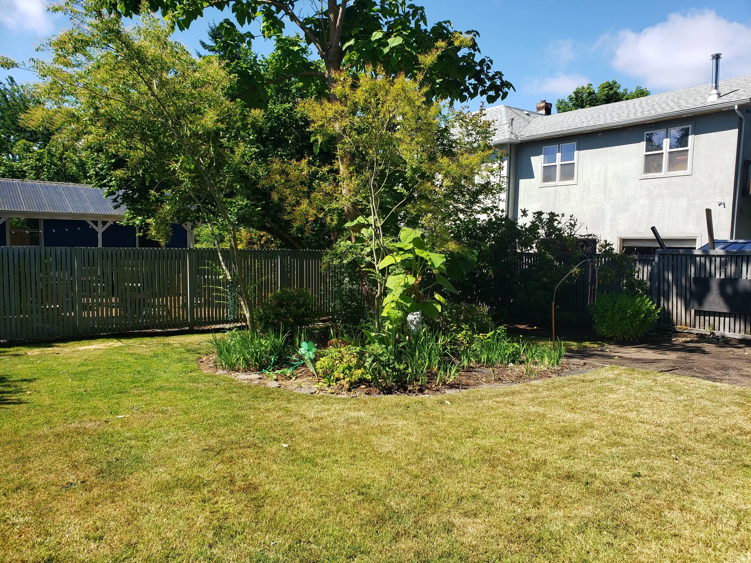 20190628_104152.jpg