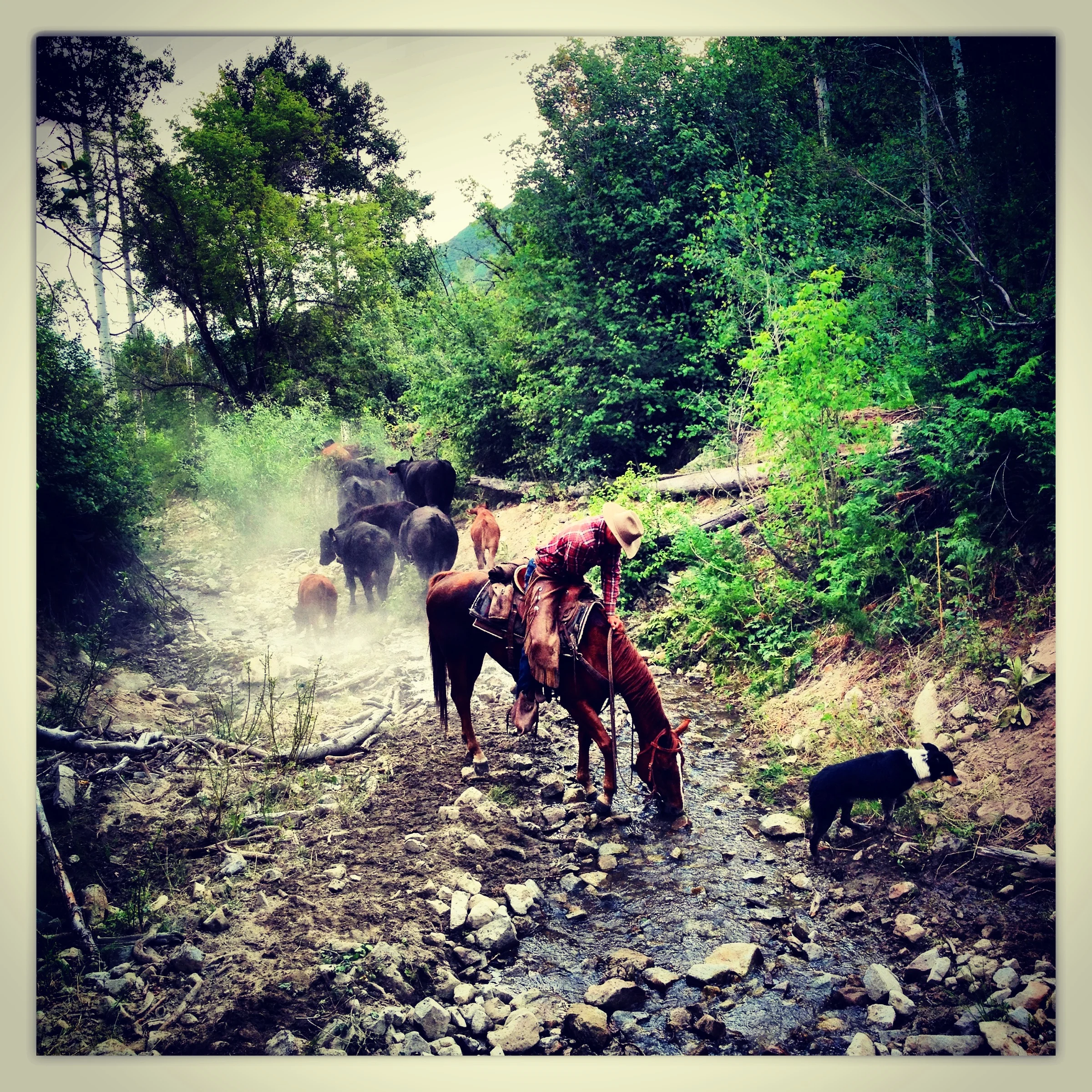 Photo Jul 07, 8 03 02.jpg