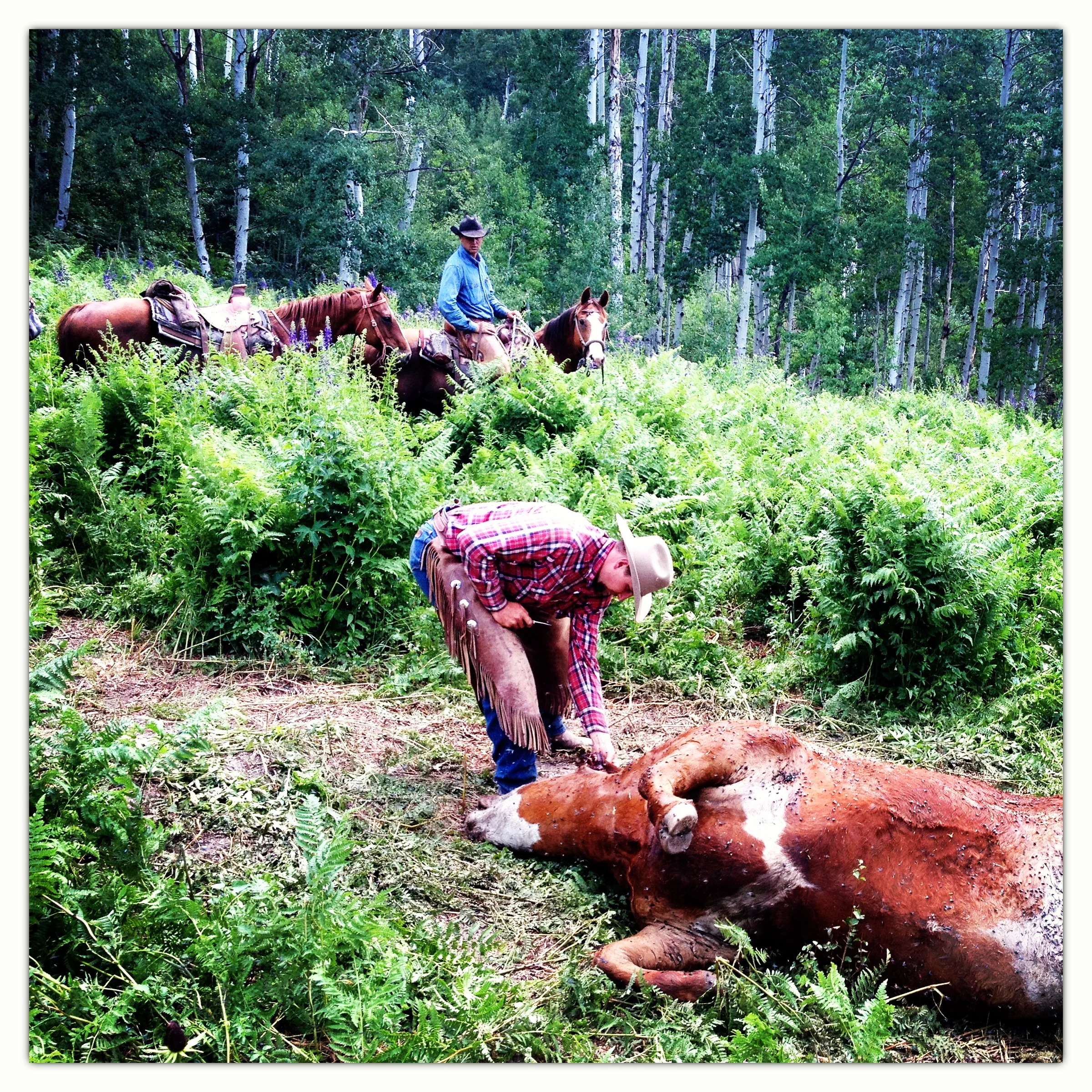 Photo Jul 07, 7 12 38.jpg