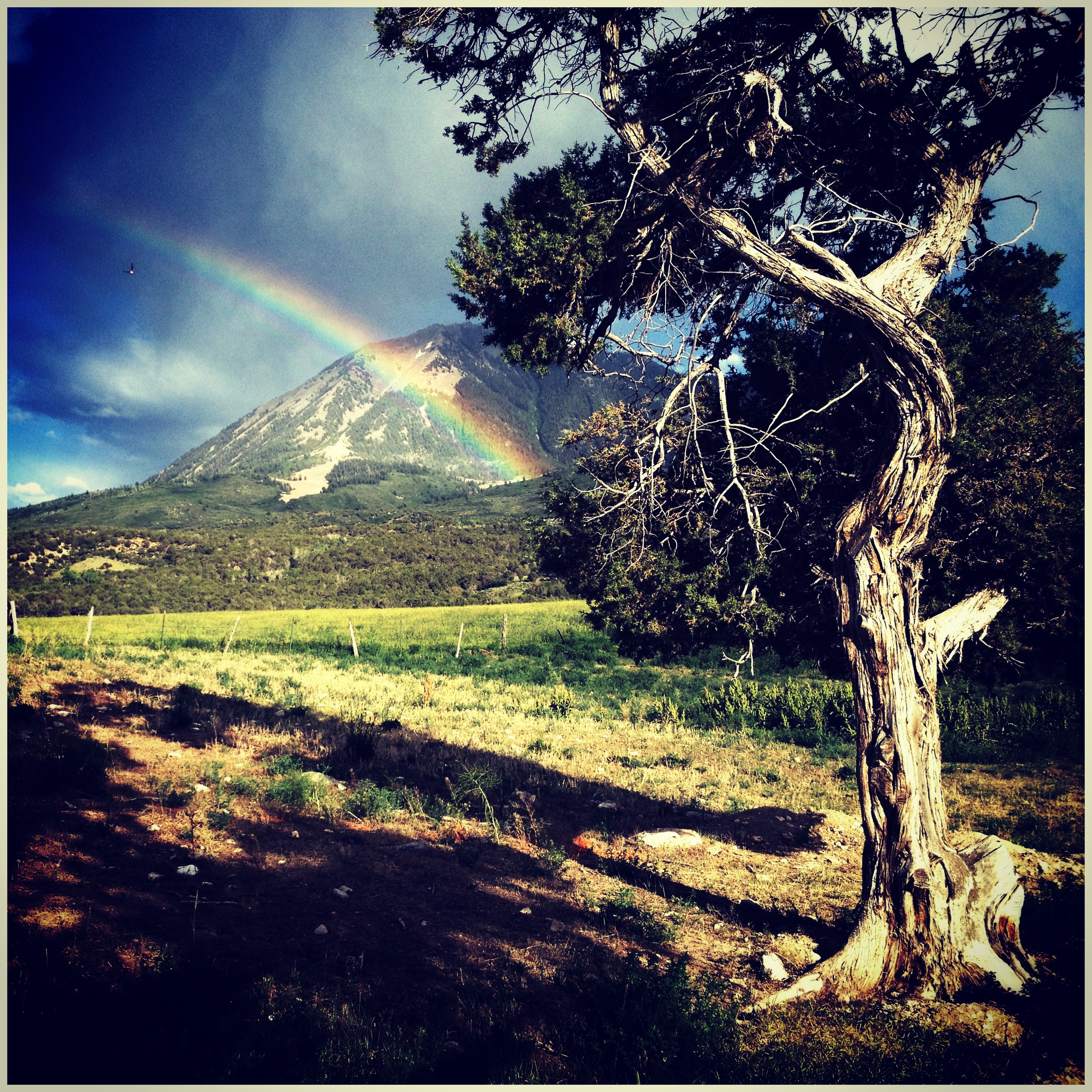 Photo Jun 17, 20 14 50.jpg