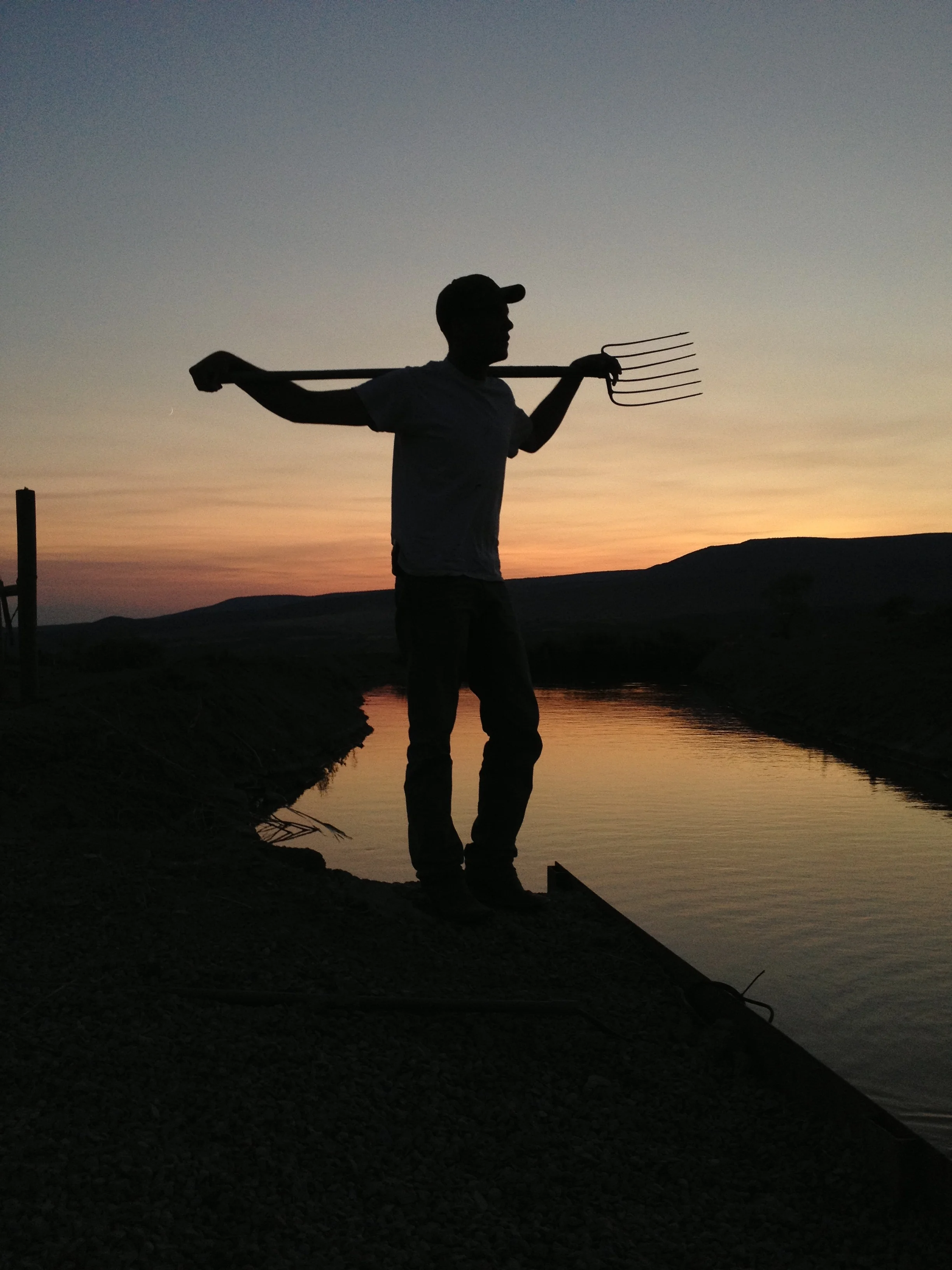 Photo Jul 10, 20 49 39.jpg