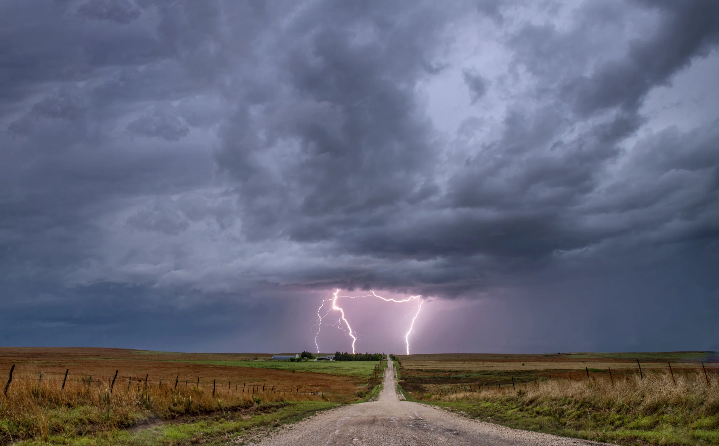 _D850093 final crop 20mb.jpg