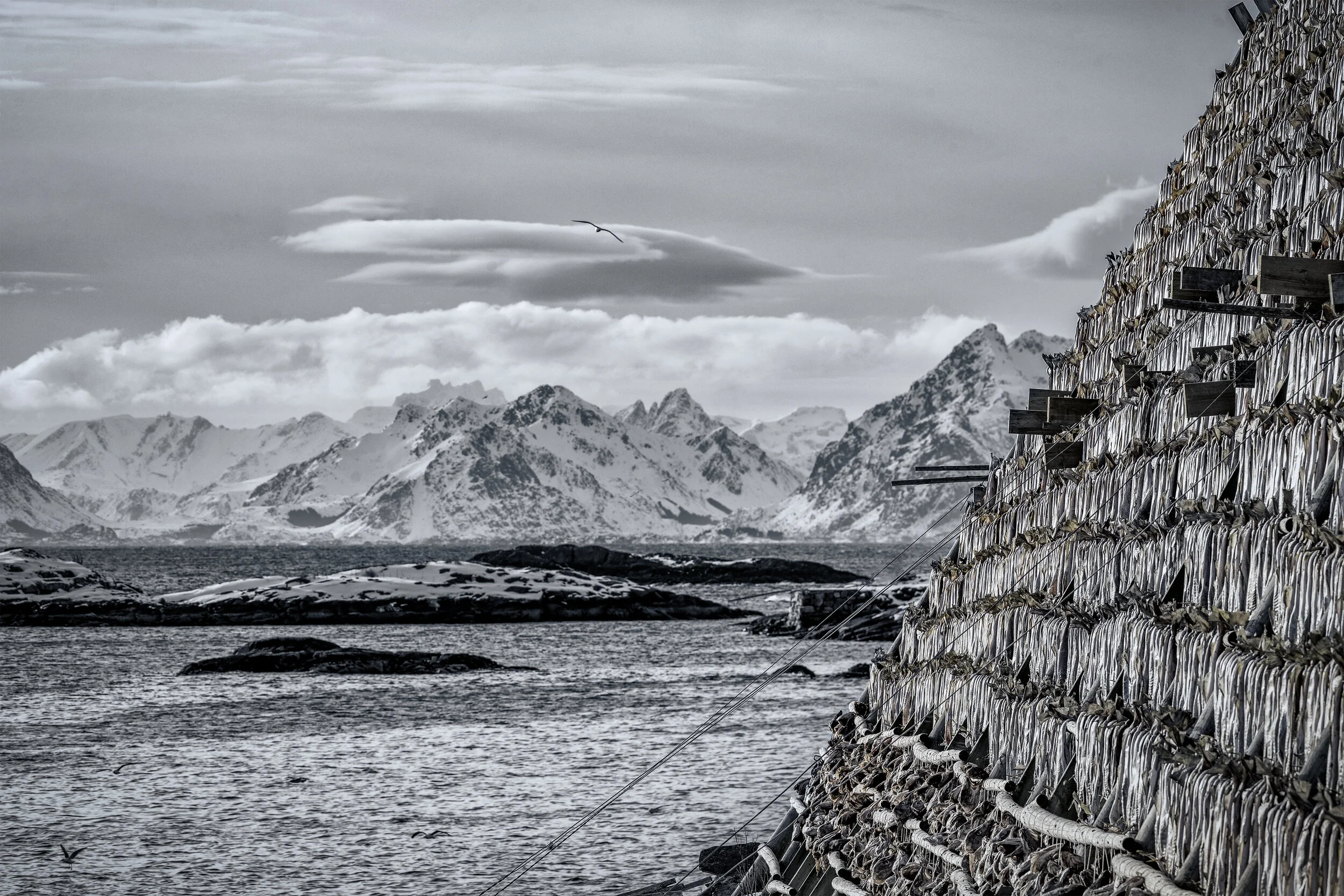 Fish Drying_D856571 20mb.jpg