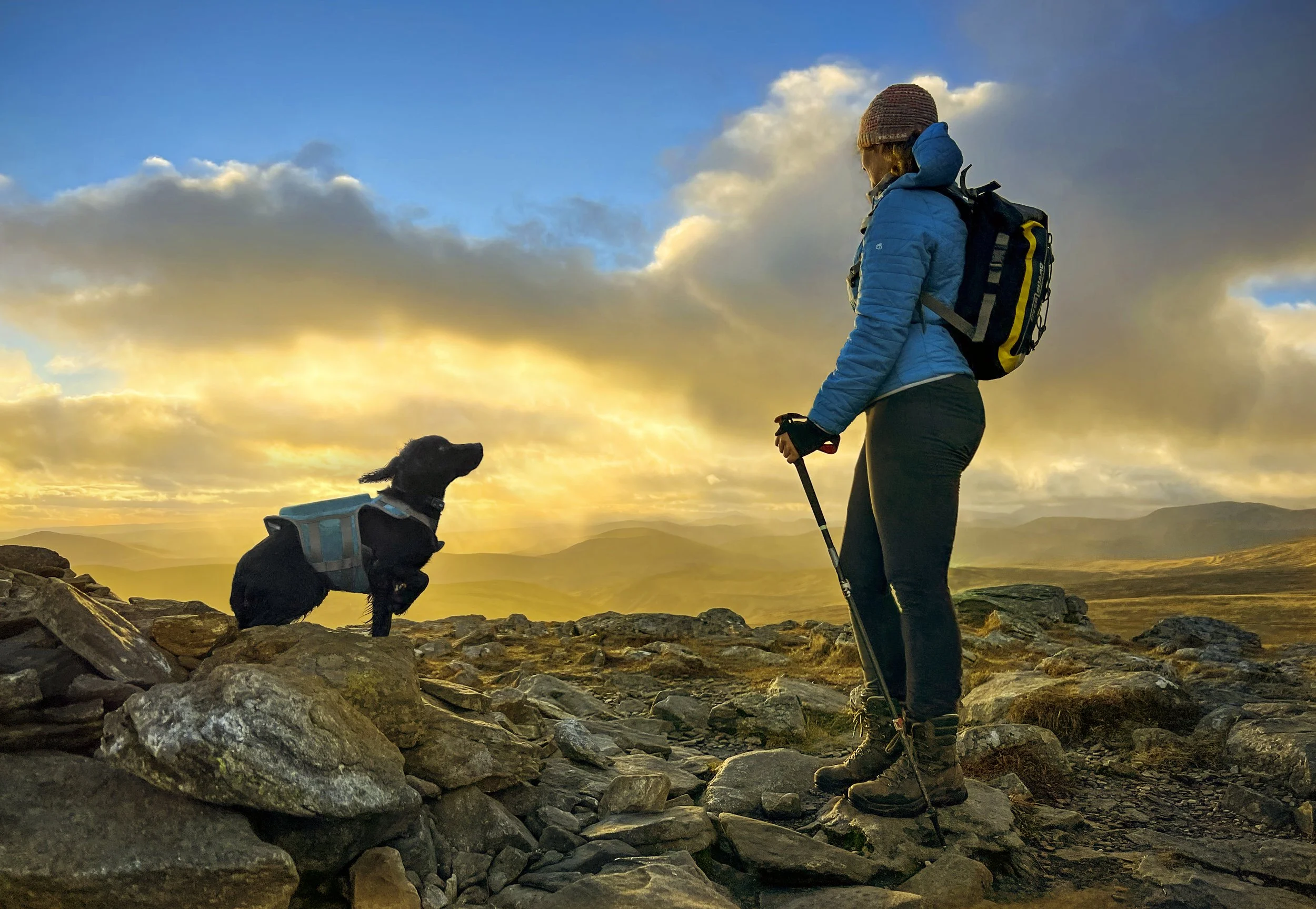 Claire and Marty final final final.jpg