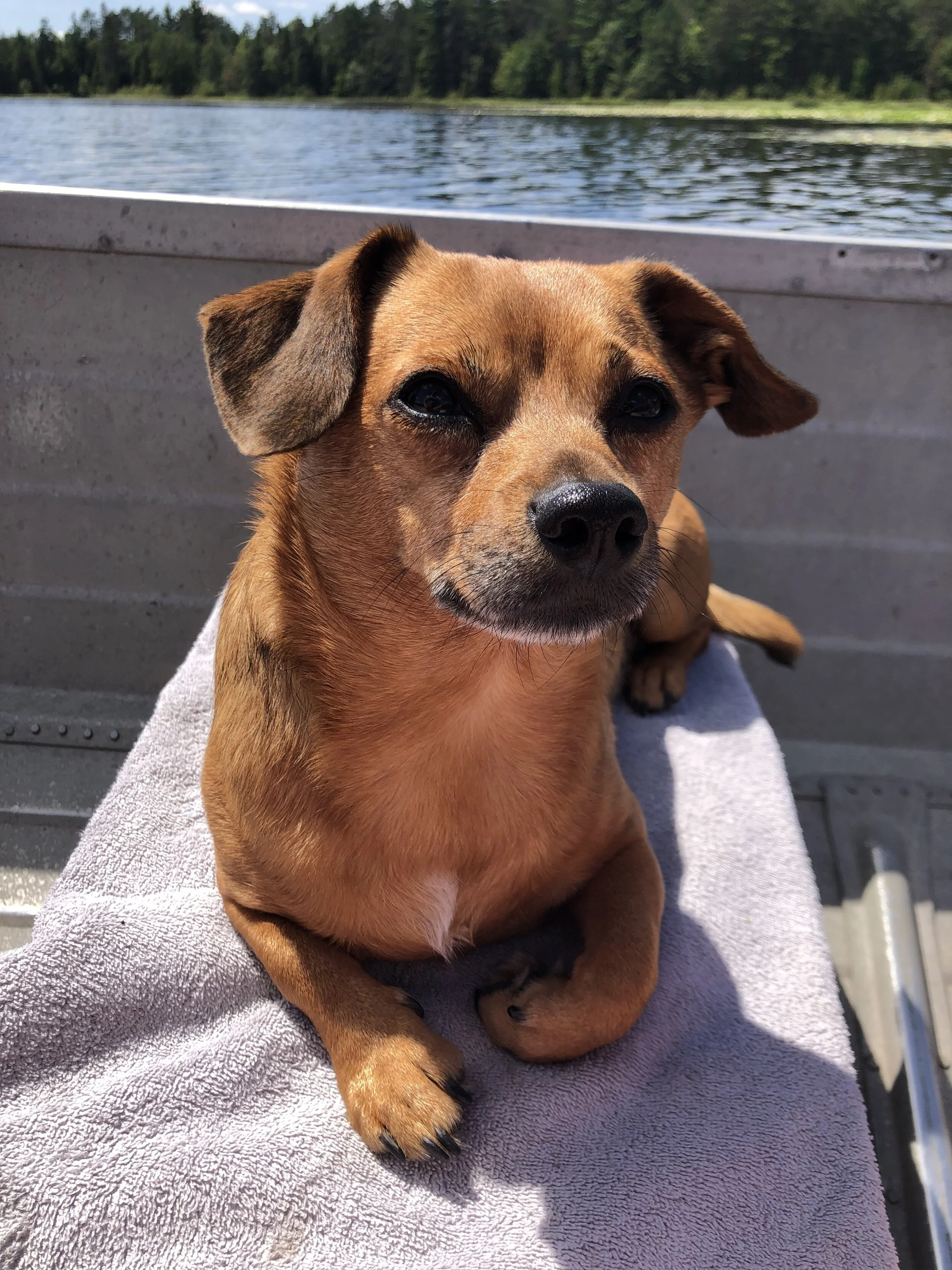 Looking Forward to 2021