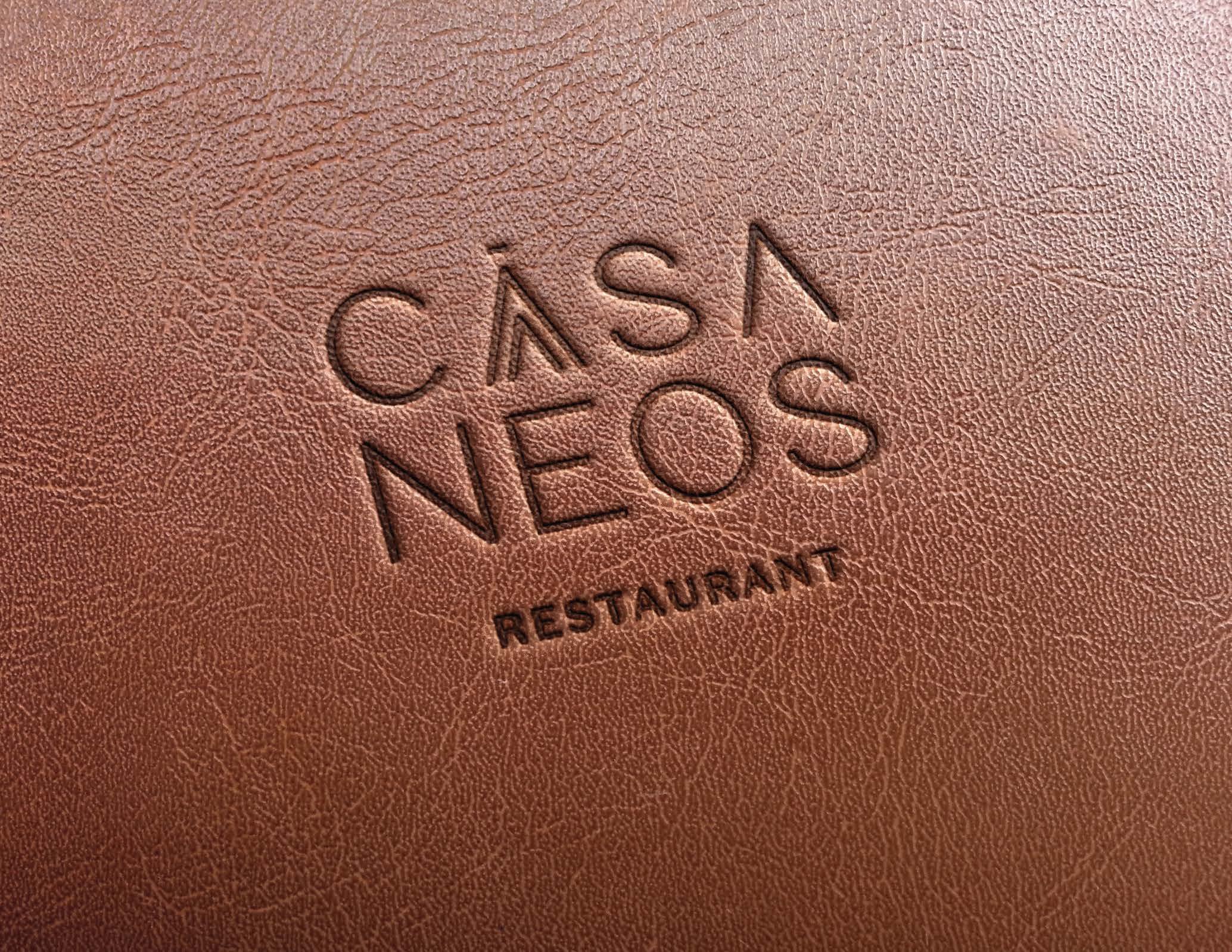 001_CASANEOS_StyleGuide_V07_Page_45.jpg