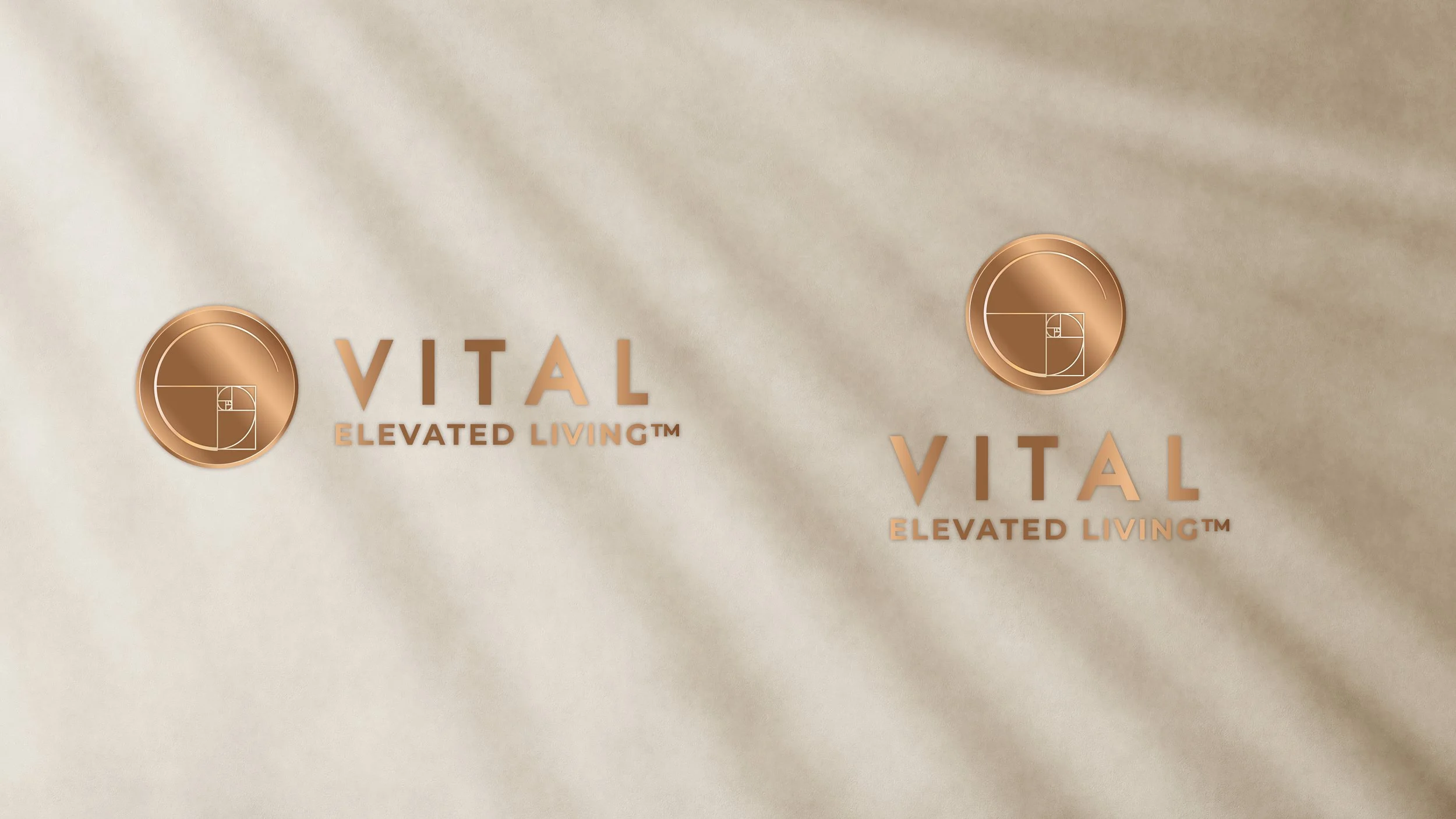 VITAL_logos_02.jpg