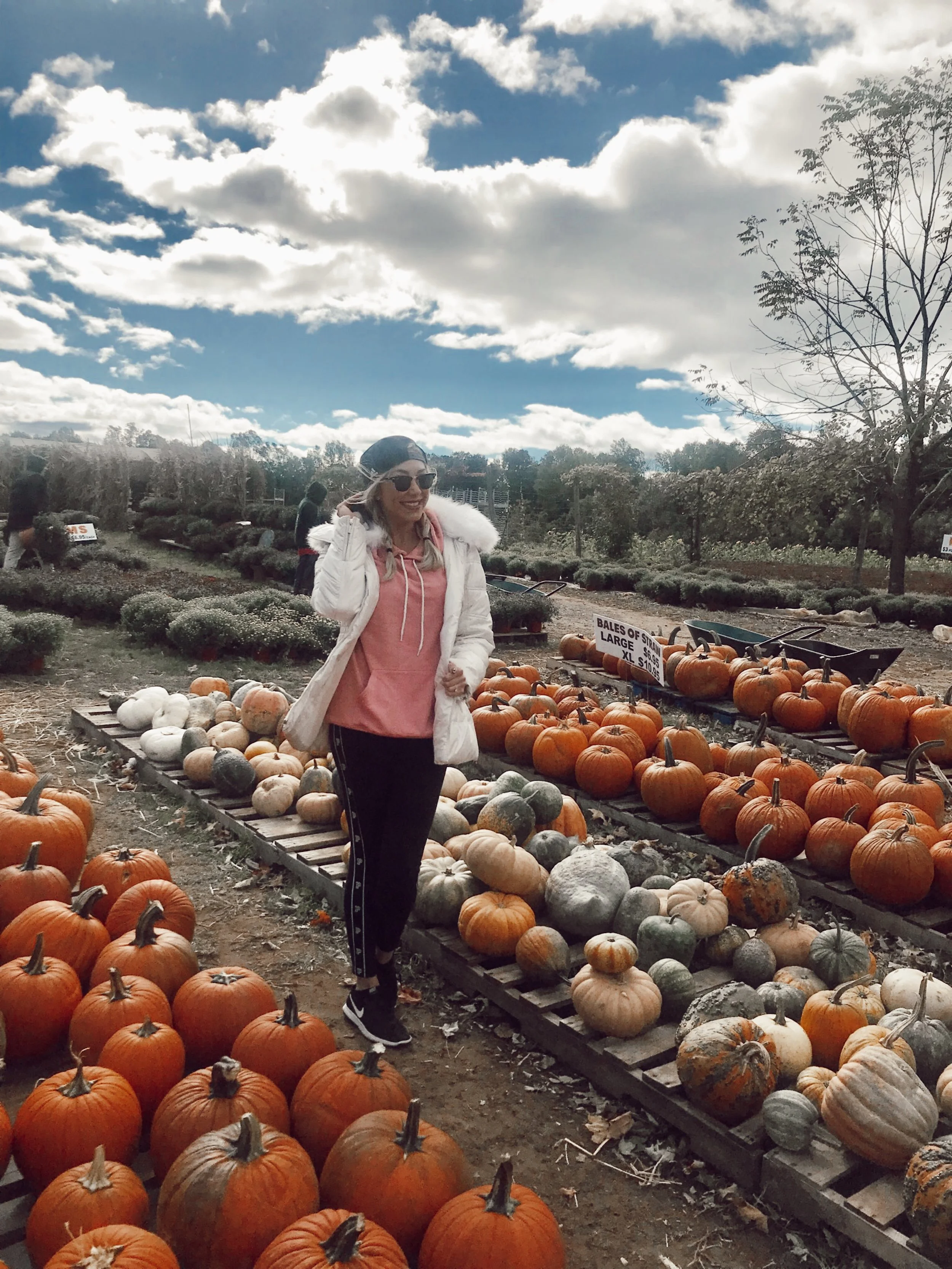 TRAVEL DIARY: COLTS NECK, NJ: PUMPKIN PATCH ADVENTURES