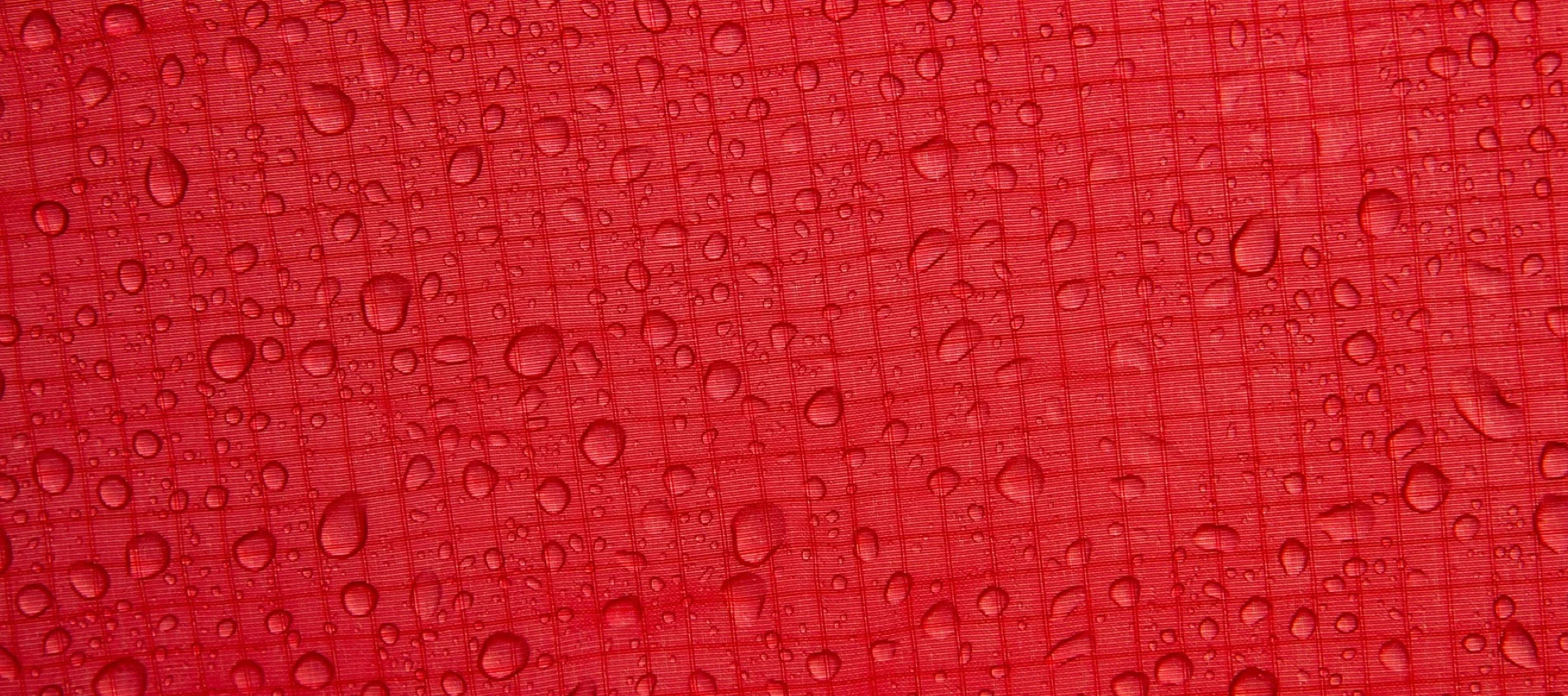 DCC - Banner.jpg
