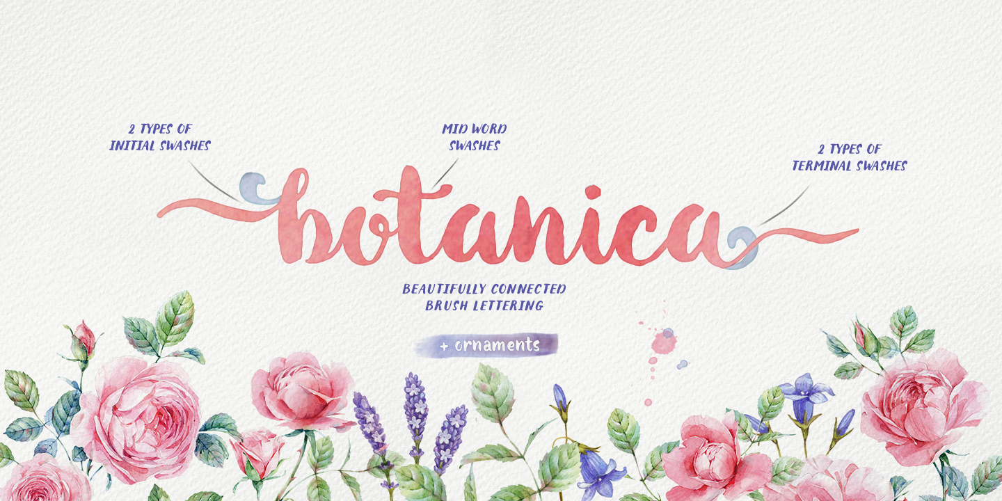 botanica-1440-2.png