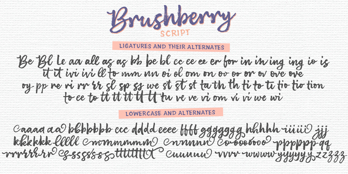brushberry-mf-12.png