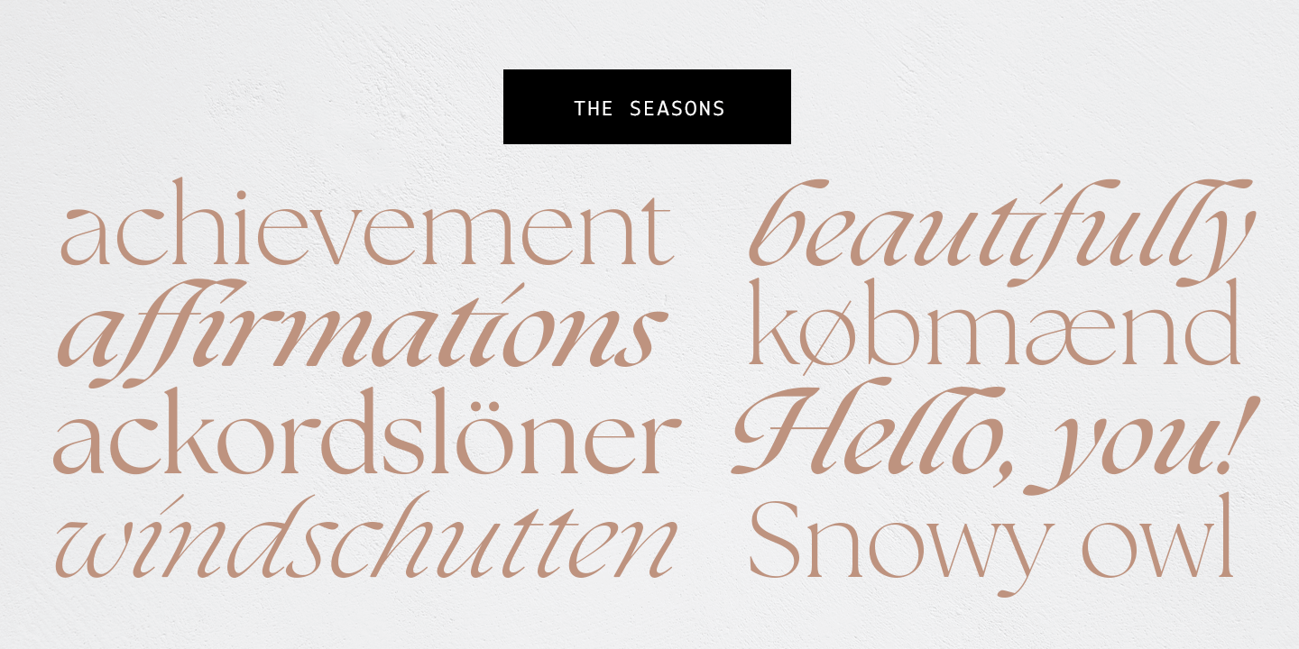 theseasons-myfonts-04.png