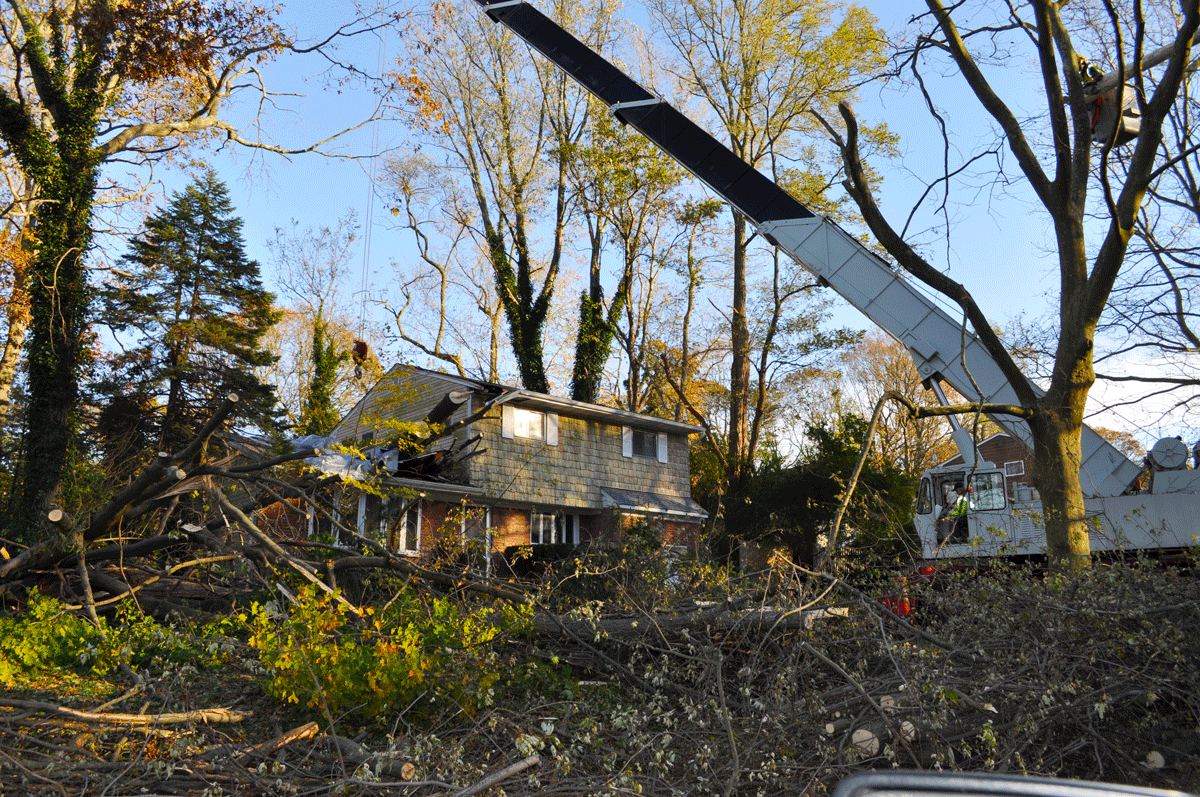 treeservice_es.png