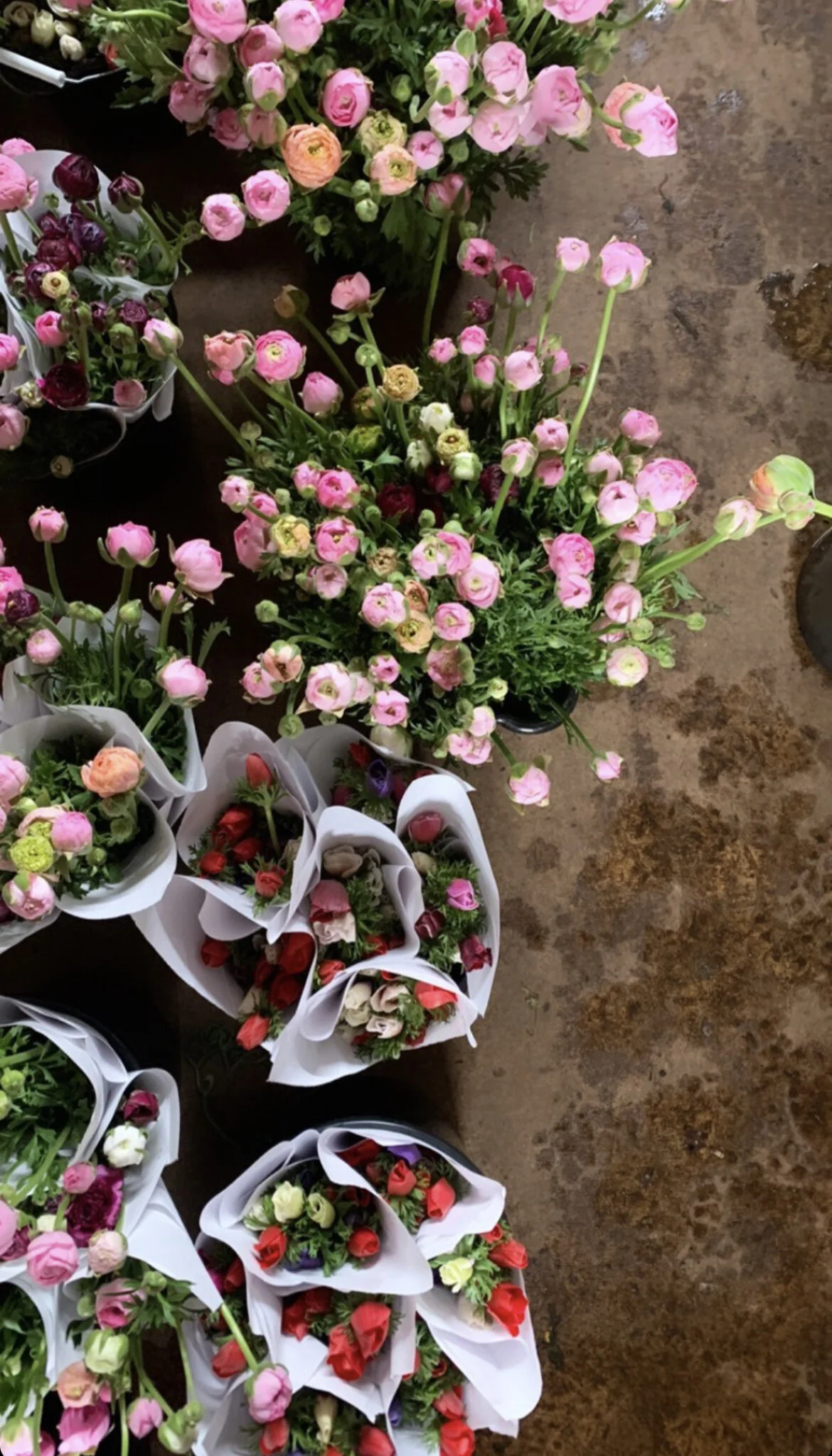 679C9F43-3CE5-45AD-8125-5AD14EB61A3F