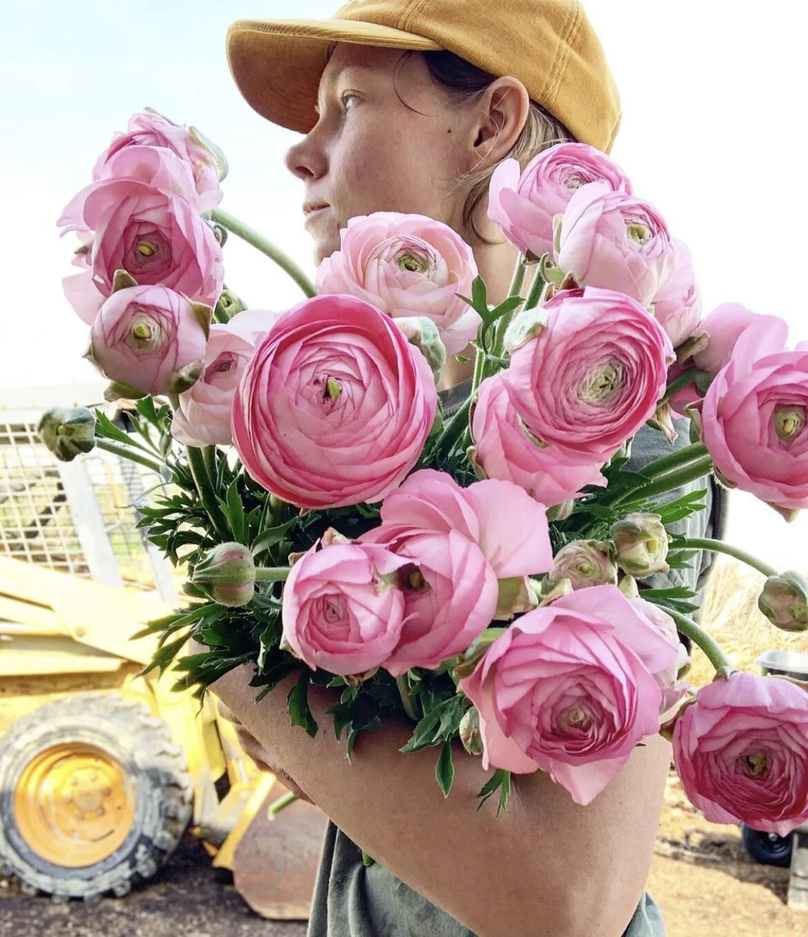 5204920A-3C9C-4570-BBA3-D103CB5C42F5