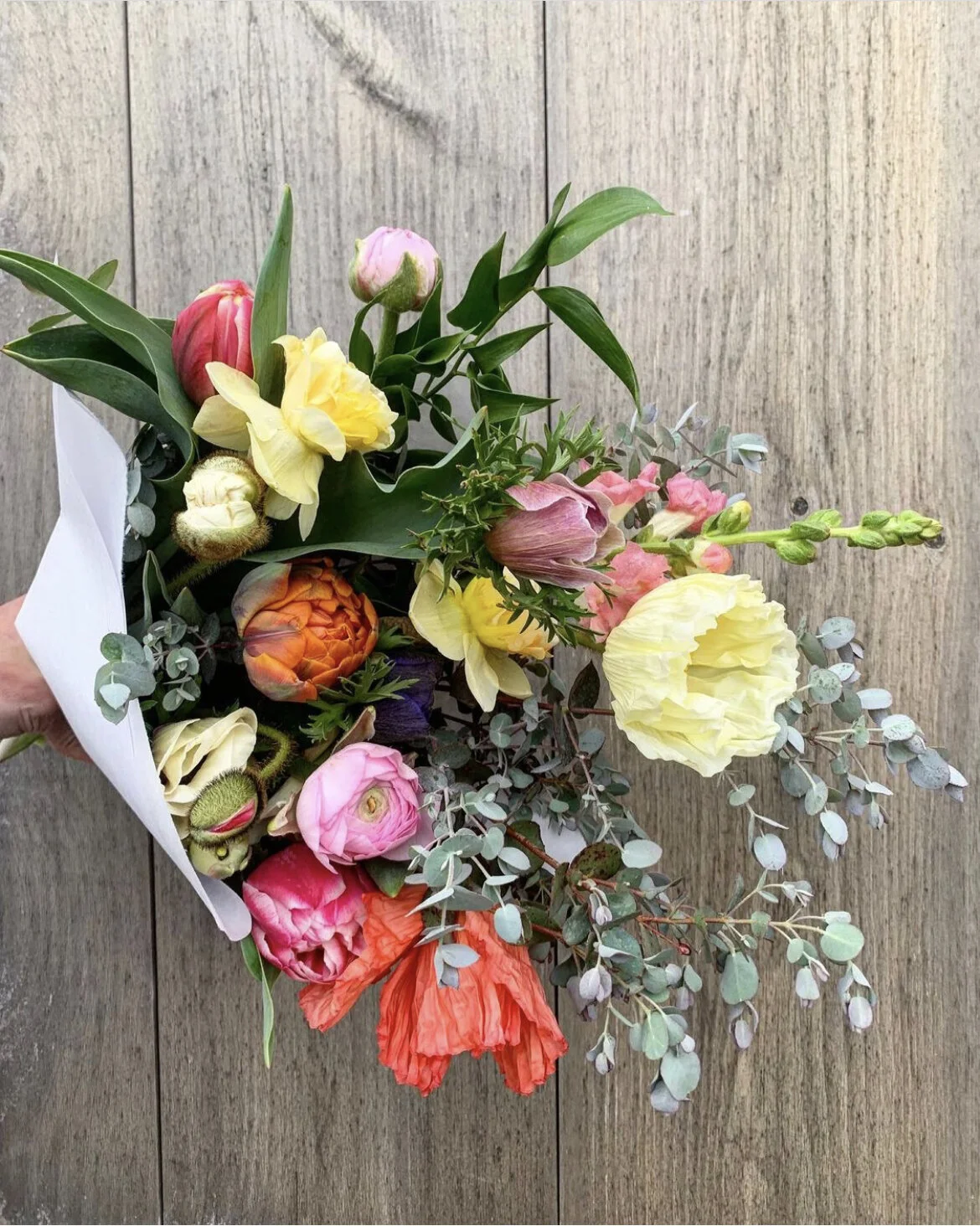 83C9A7E6-D41B-4393-B4D2-FB1D00988671