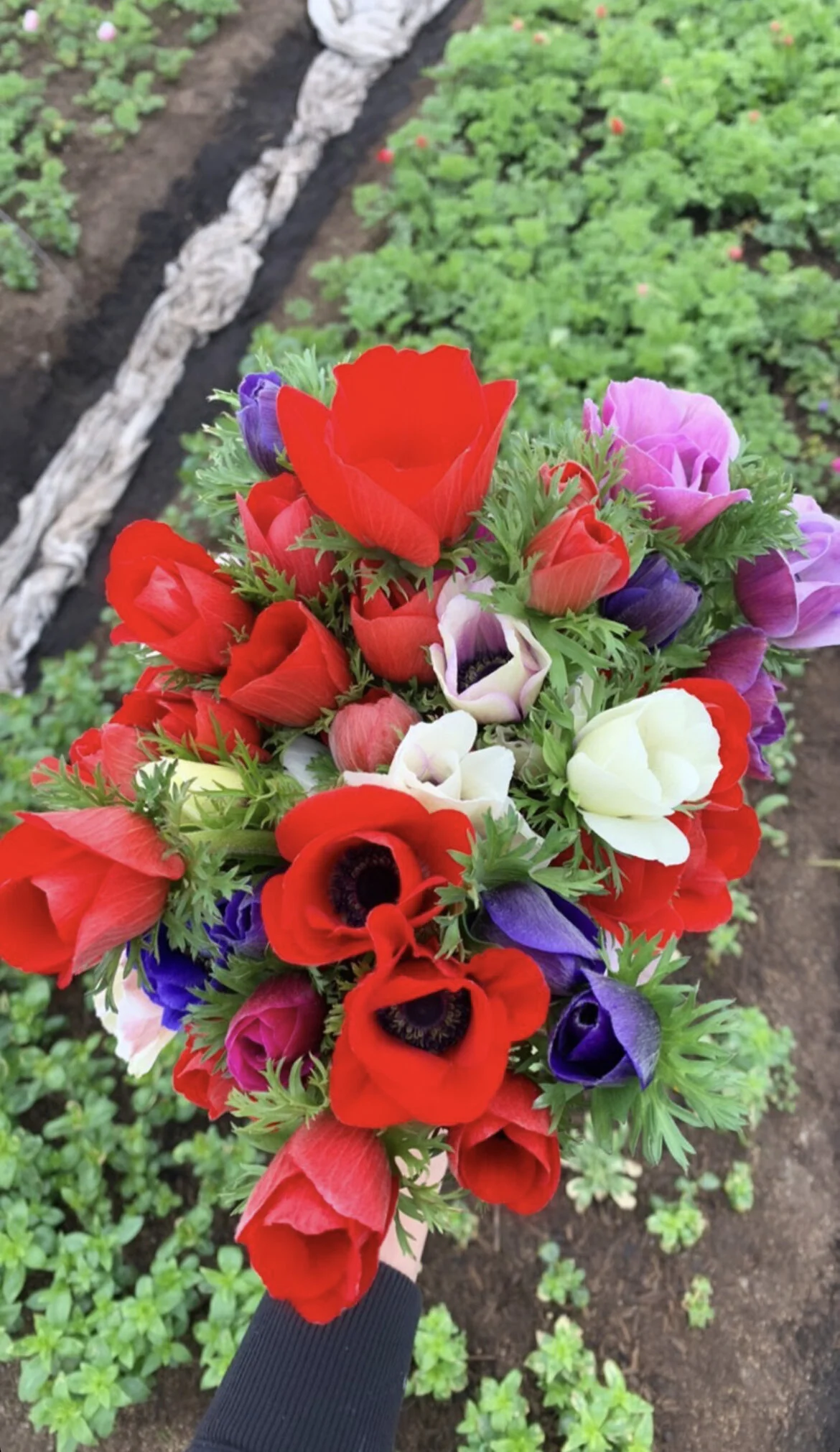 9A0D8D84-AAFB-442D-8D2A-352F48BEE54D