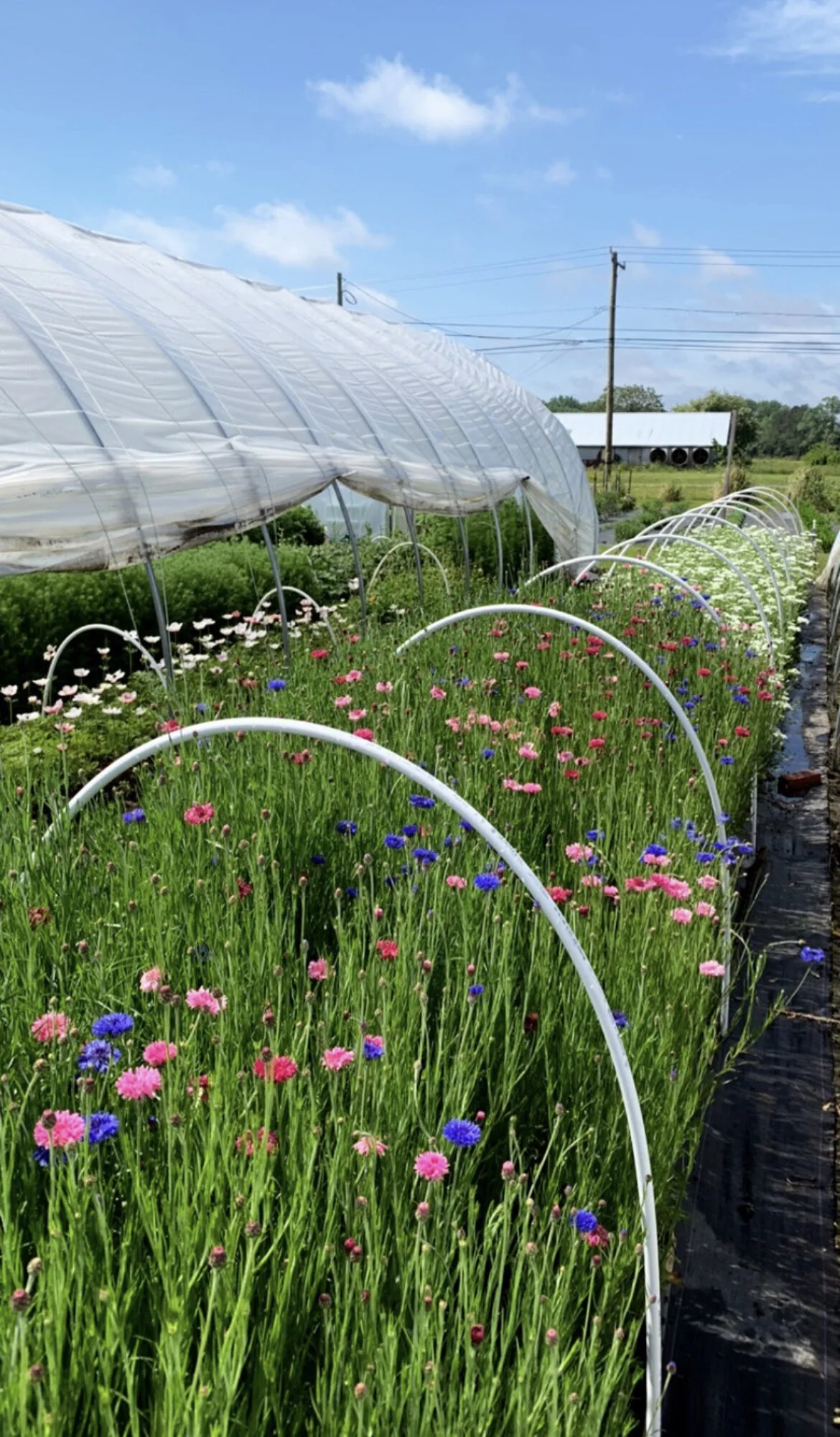 B423C39A-E963-438D-BFBC-2C8A9A129DF3