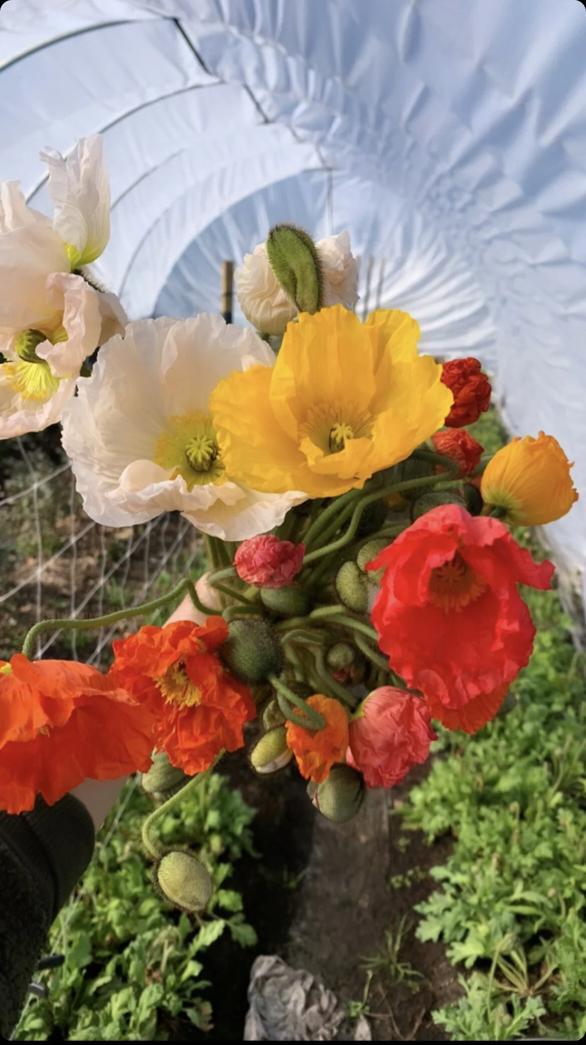 30F90B2E-1889-49B0-AA03-F5939BBA9C9D