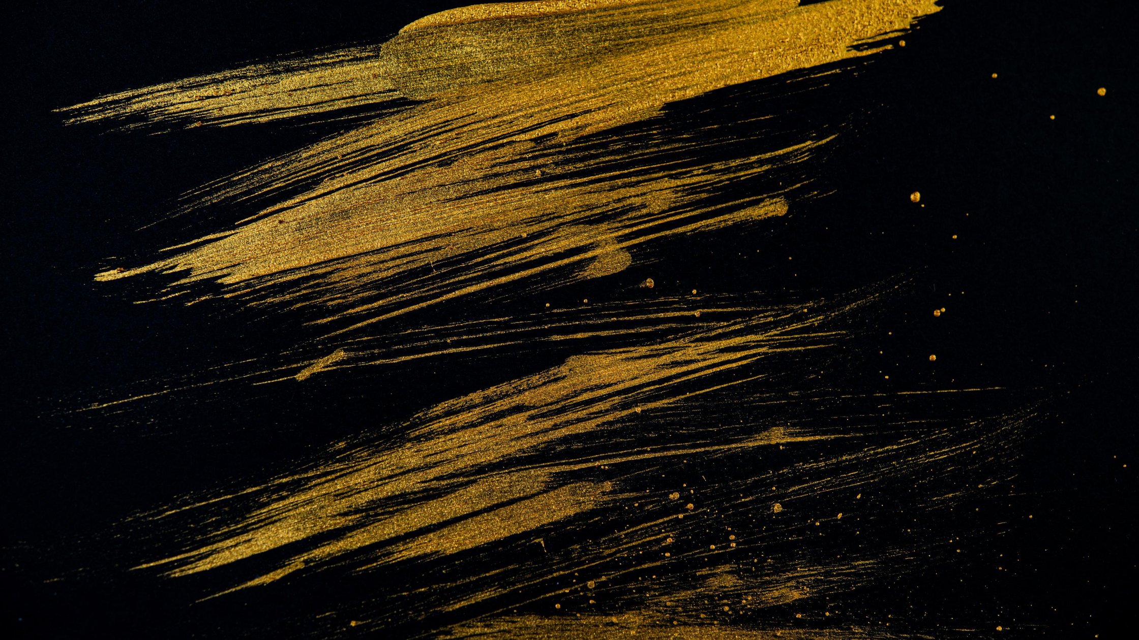 bm website banner.png