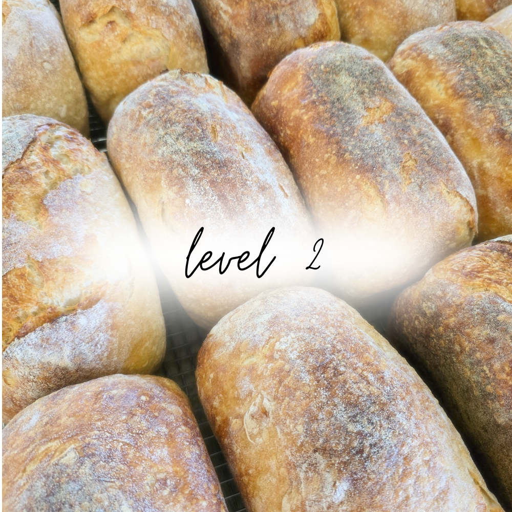 level 2 bm website sourdough (1000 x 1000 px).png